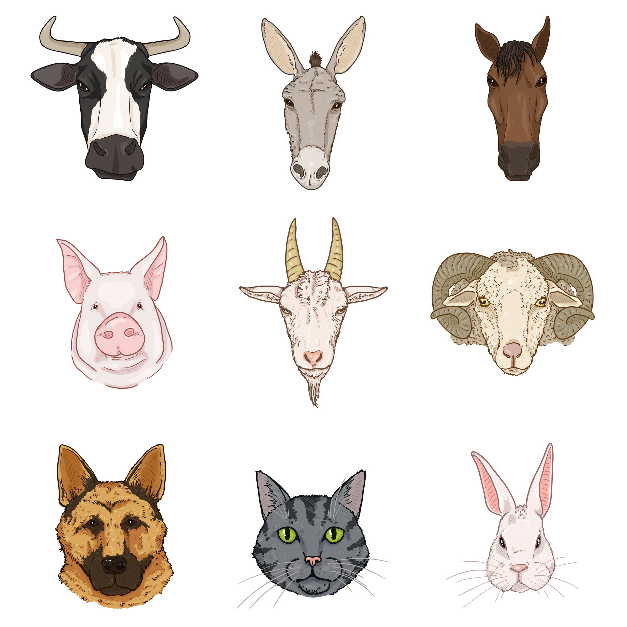 Farm animals head set front cartoon