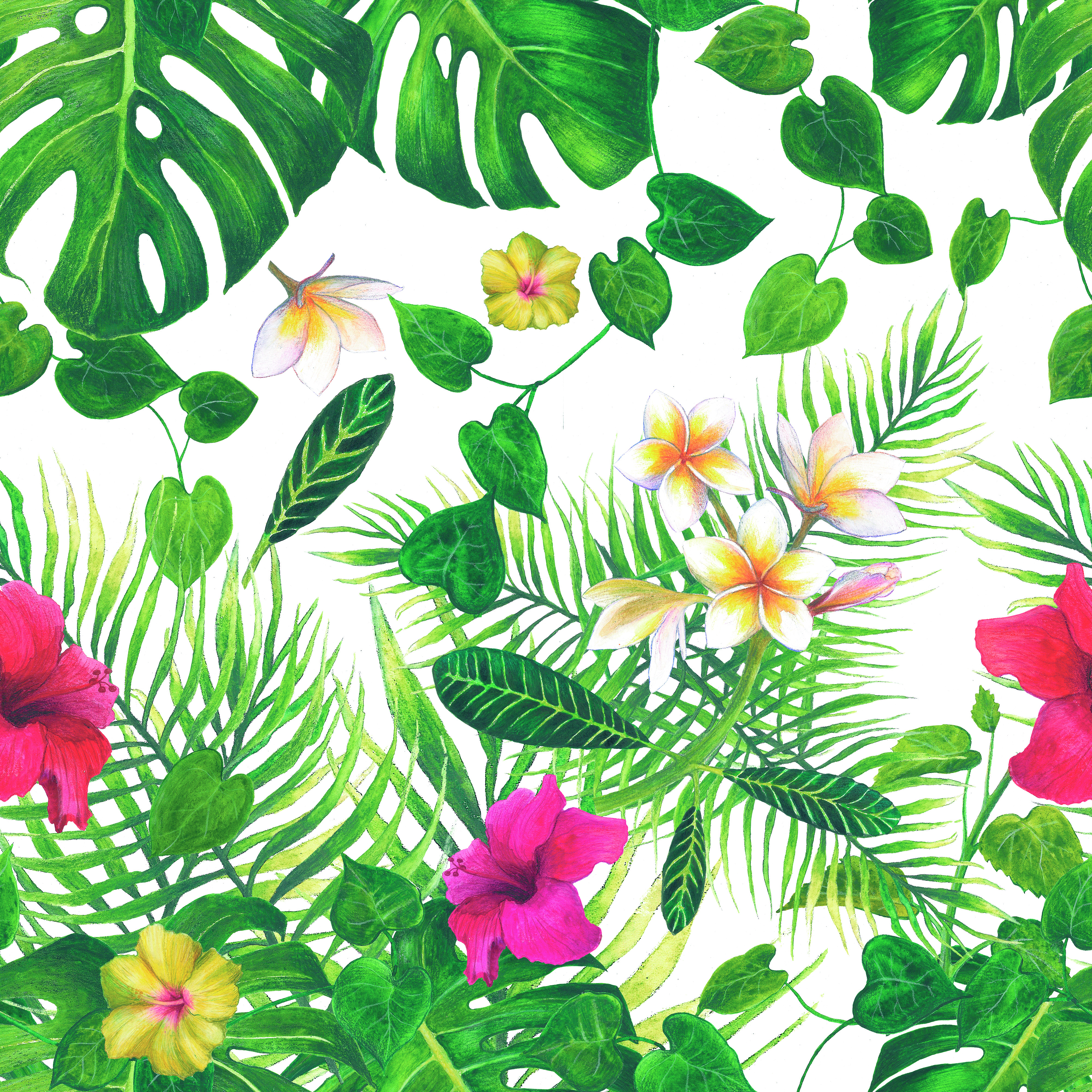 Tropic pattern clear cmyk 1