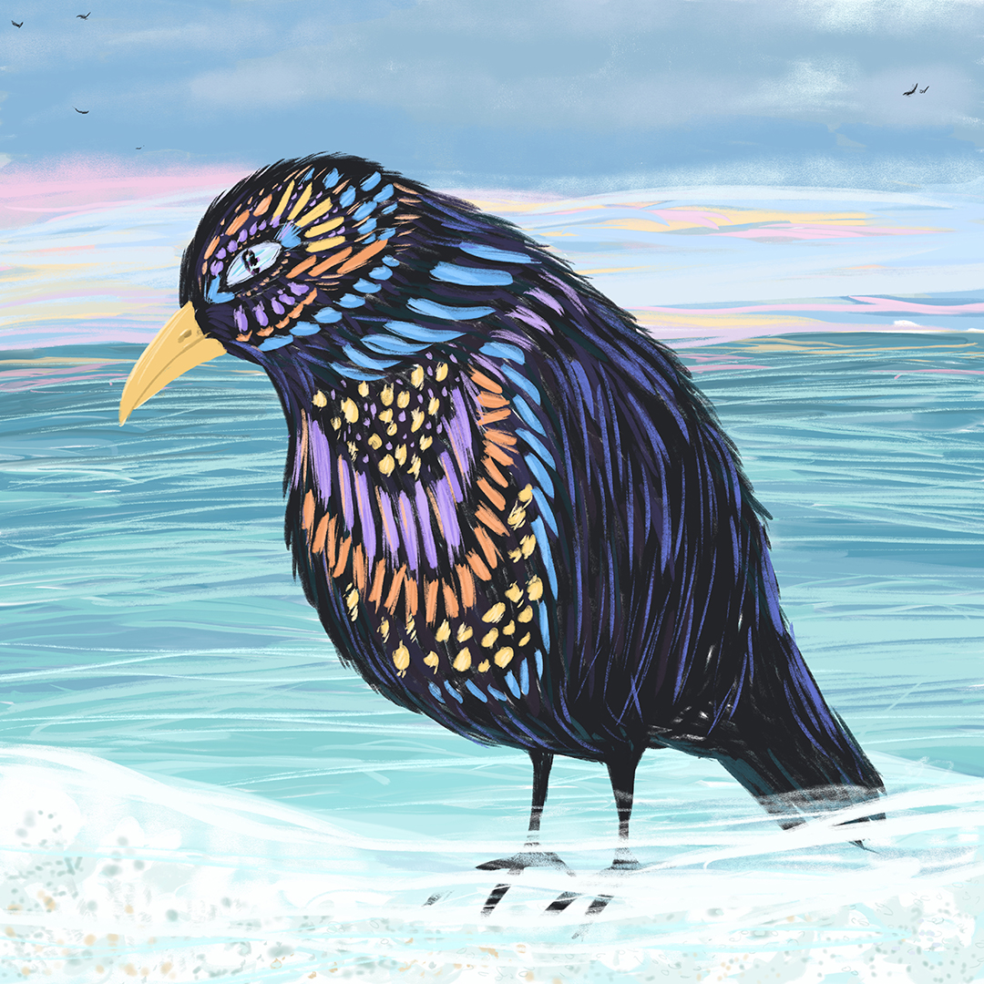 Bird in the sea rukizemli lena gordeeva