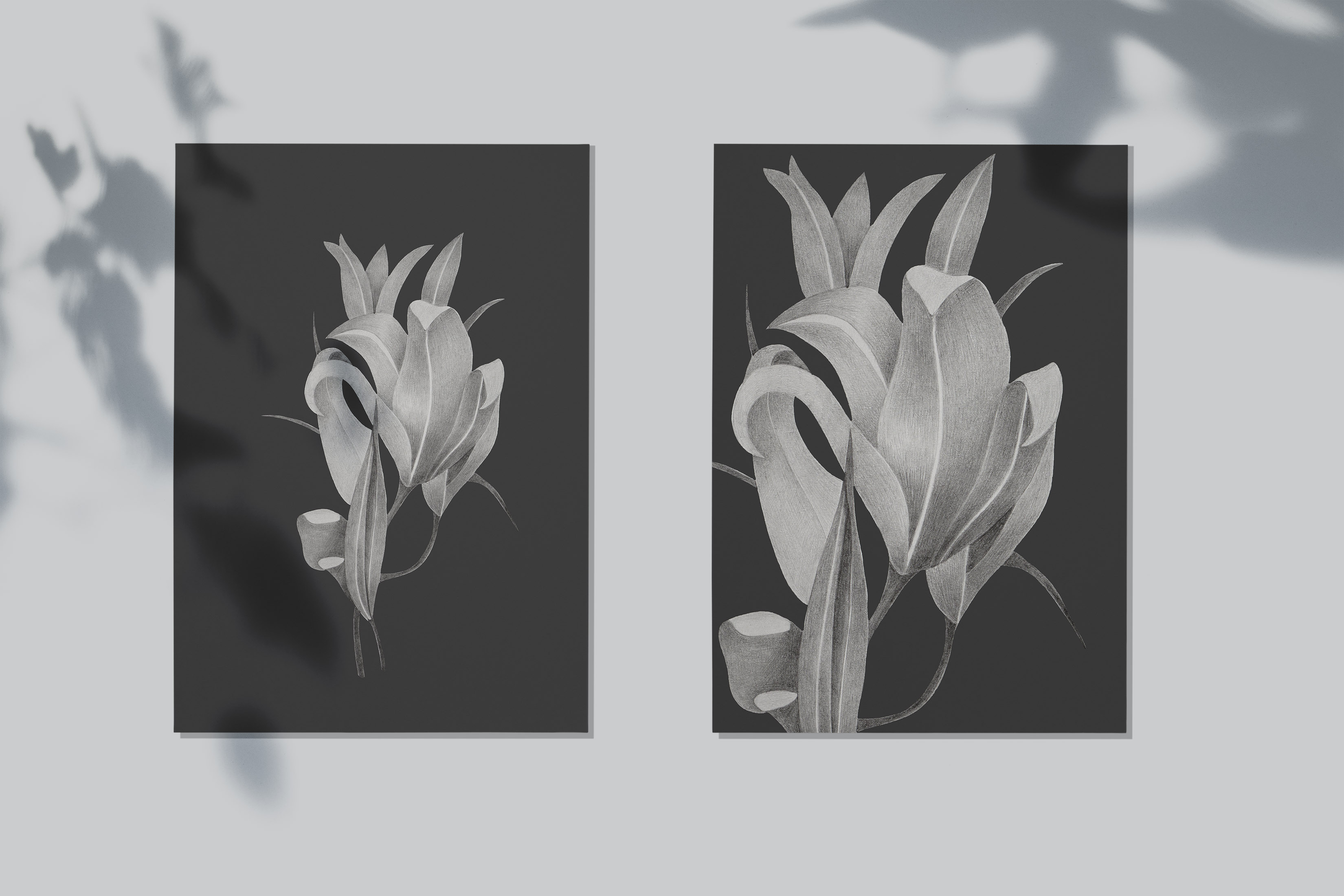 2 flower fot b