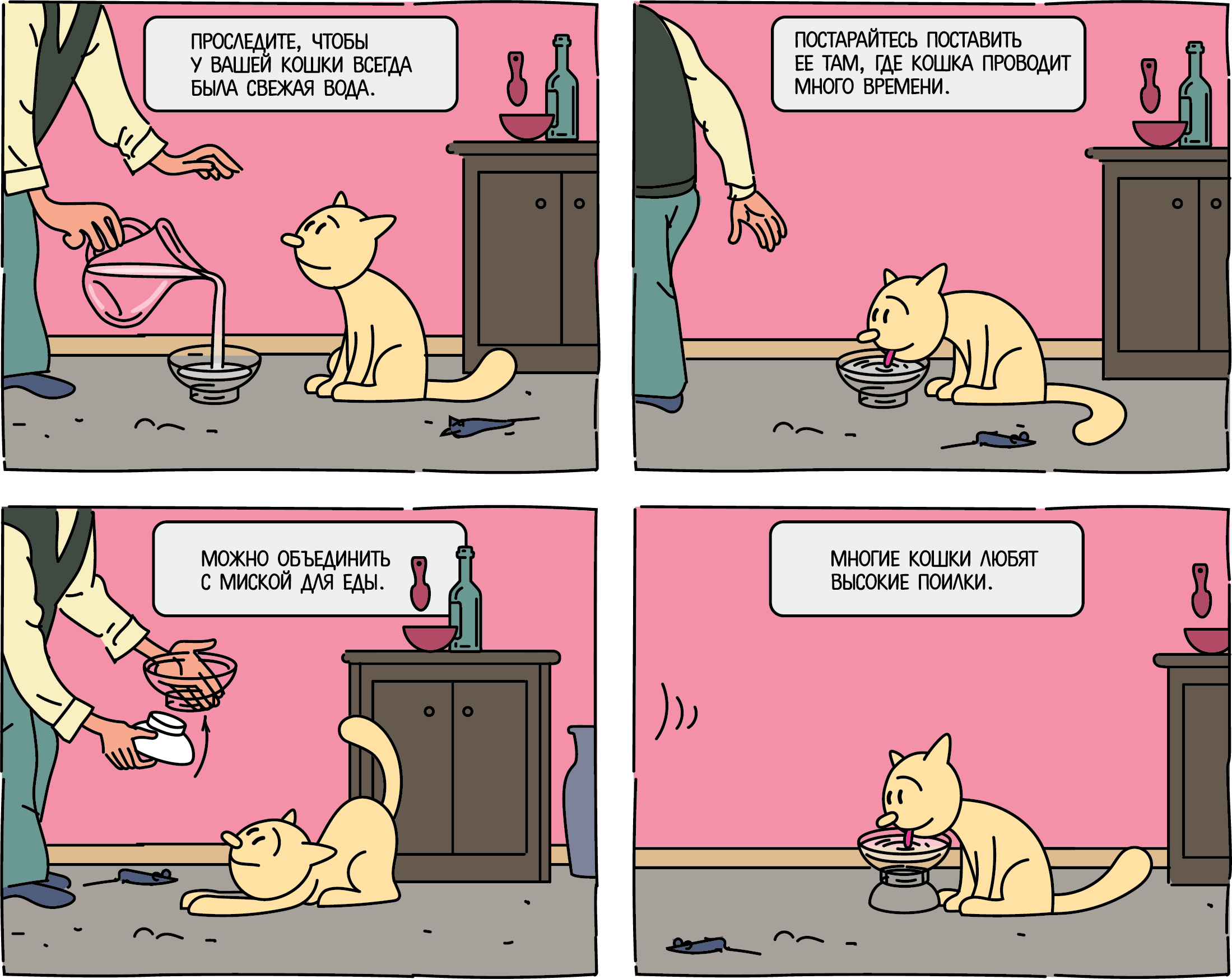 Cat.print.color2