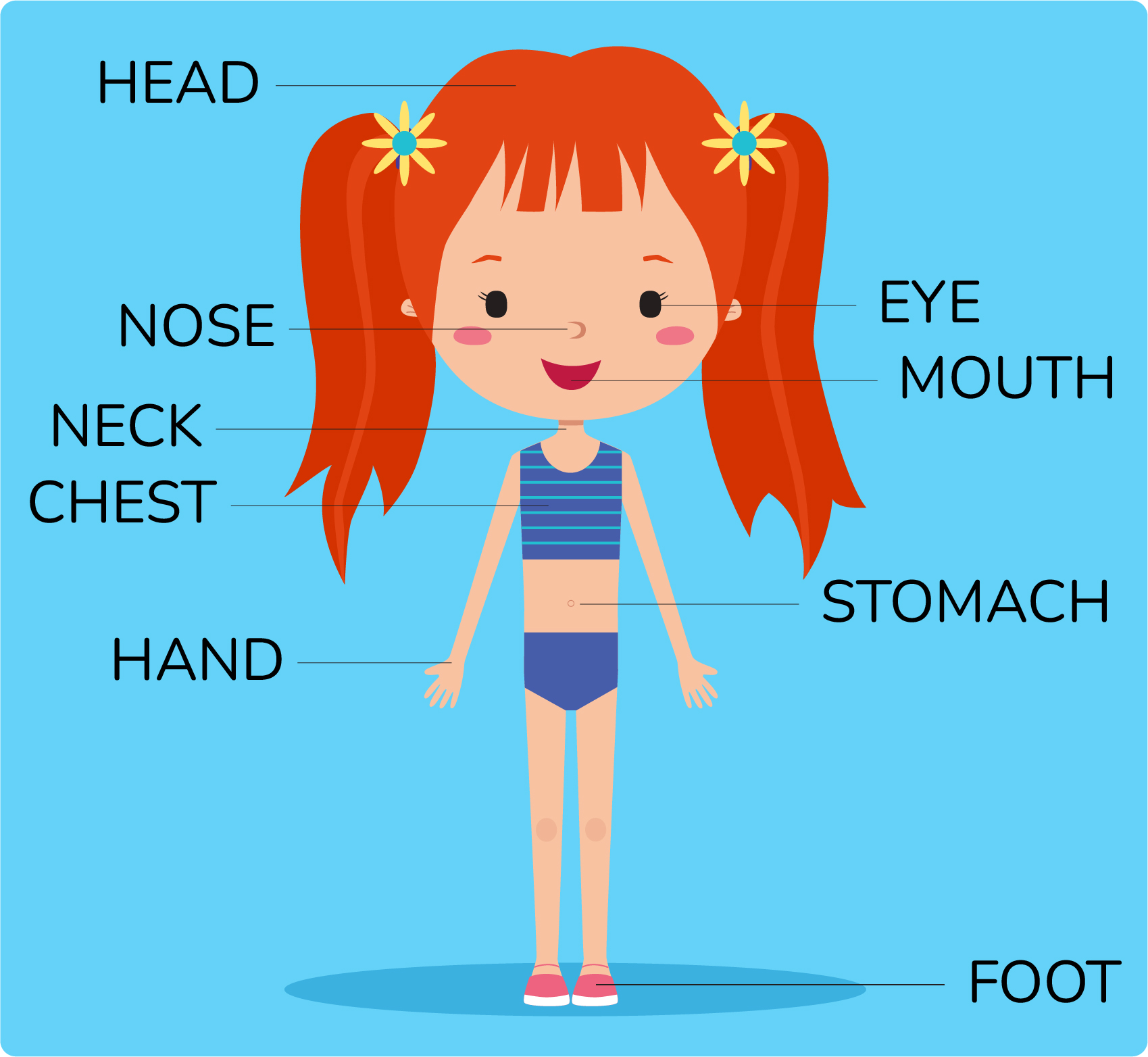 Body parts