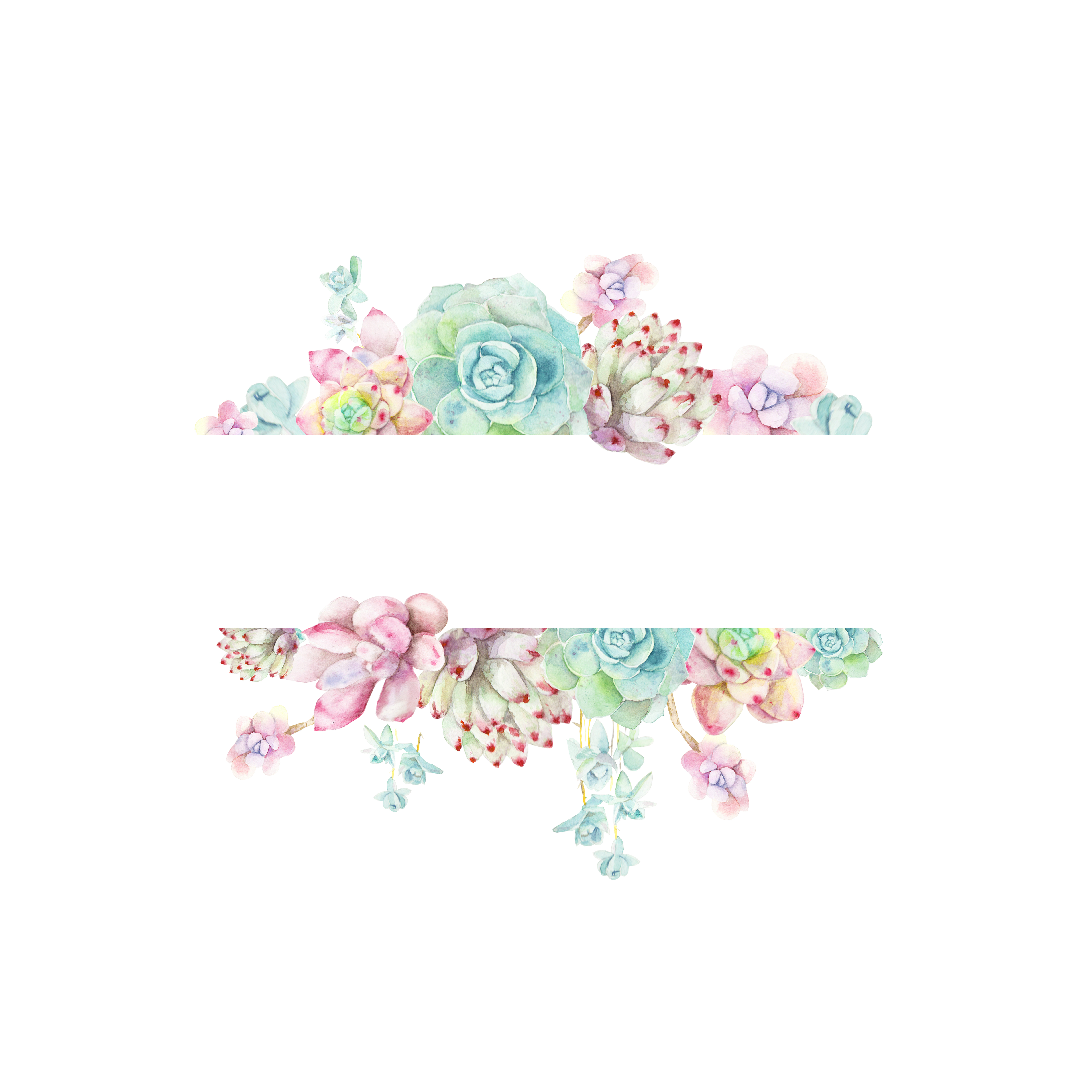 Composition of watercolor succulents for the design of the inscription