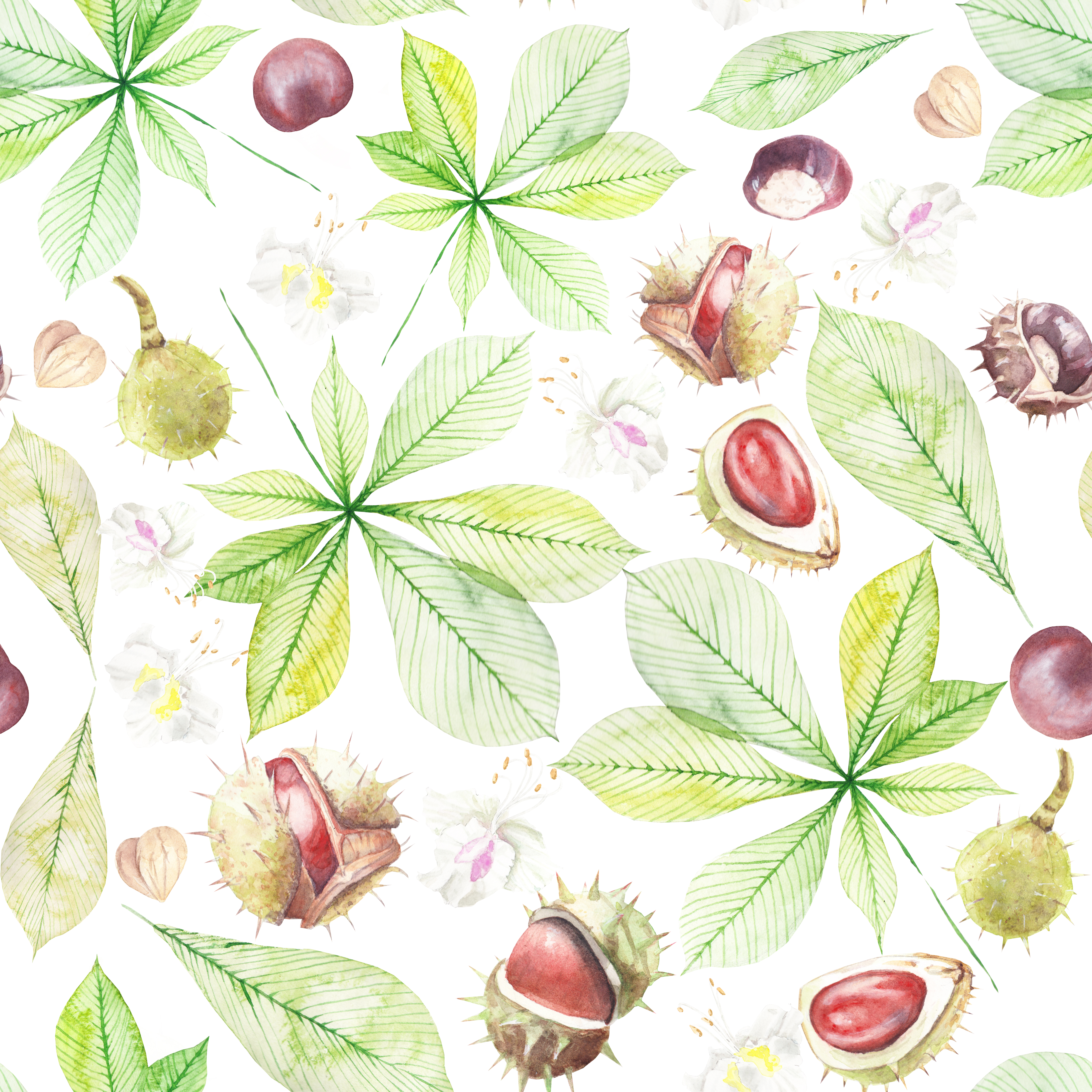 Pattern with chestnuts  flowers and leaves on a white background