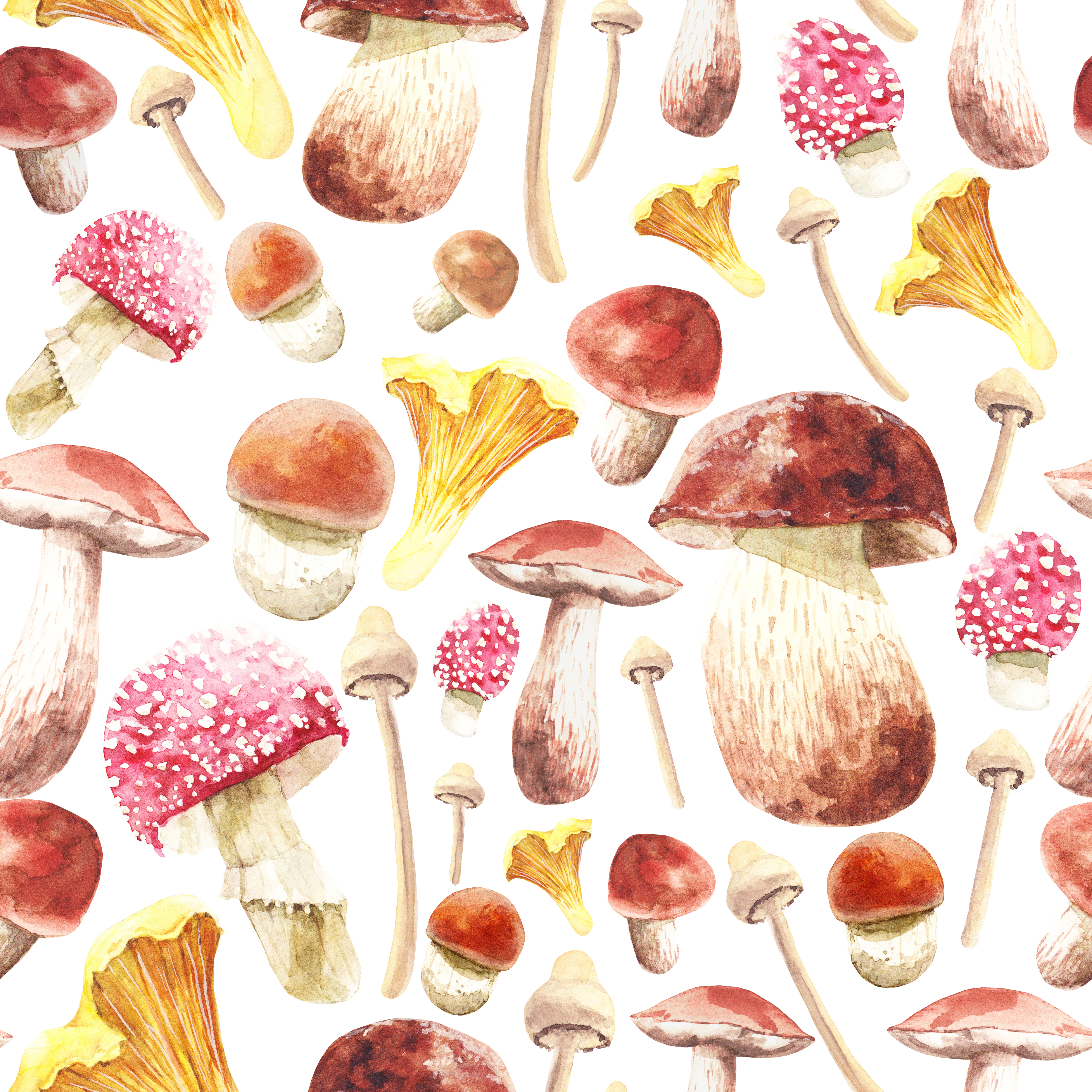 Pattern with wild mushrooms isolated on a white background