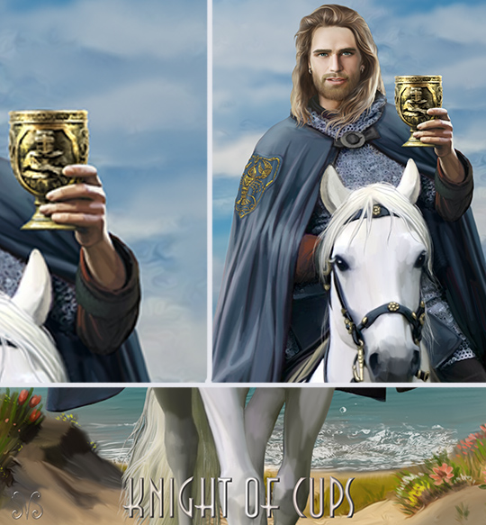 Knight of cups ss 70x120