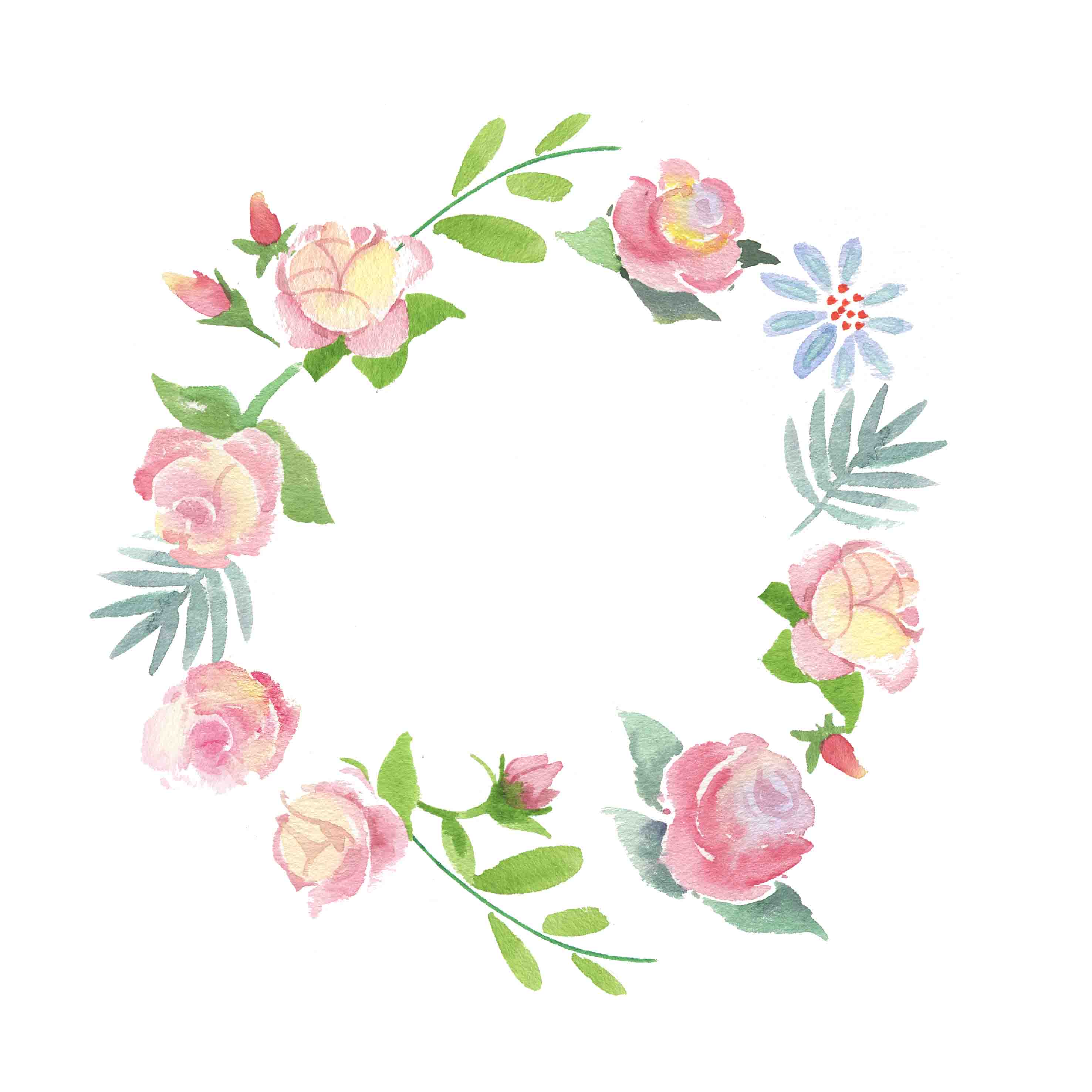 Rose2