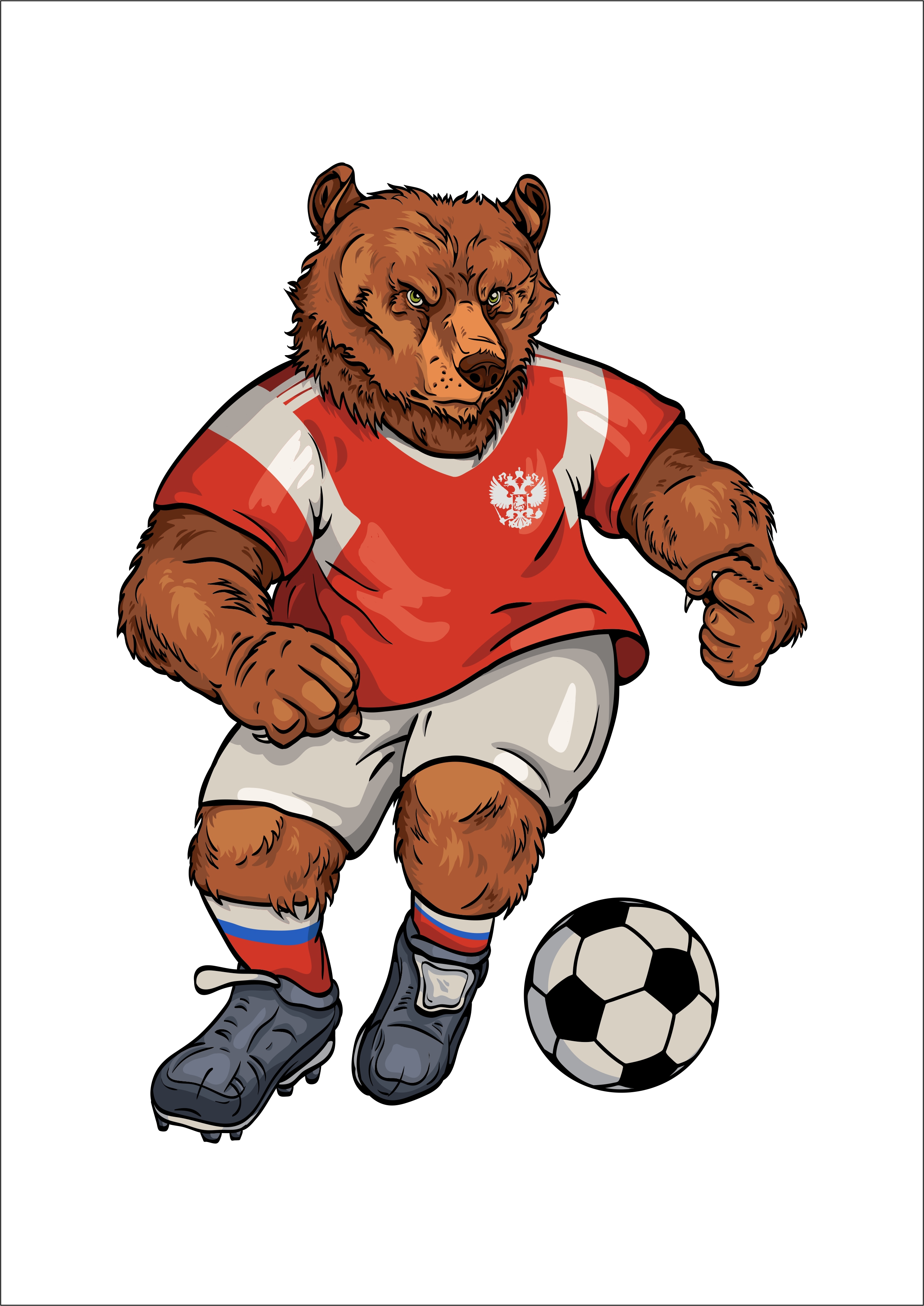 Bear 