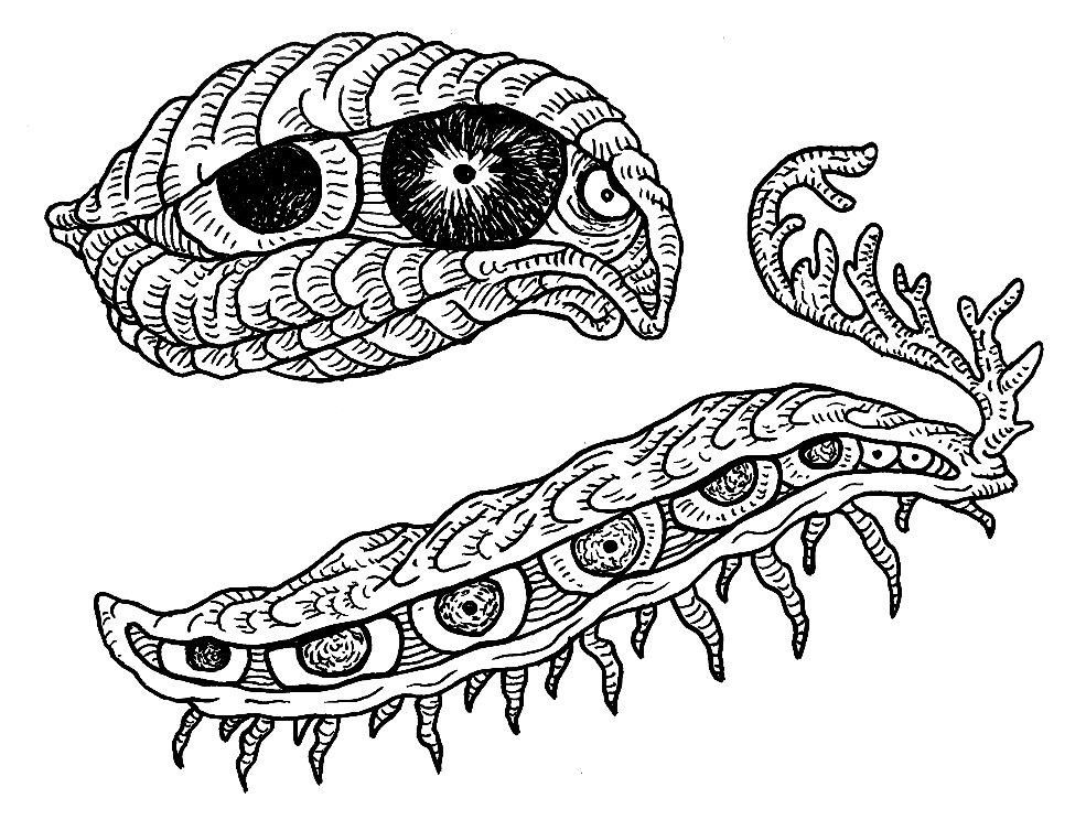 Eyes 01