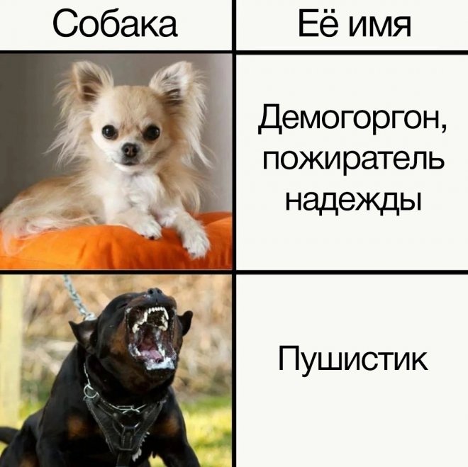 8o59jjnxxuq