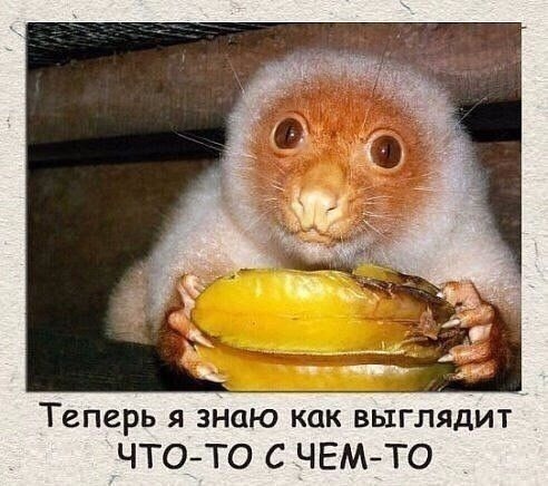 7jm3kkukc i