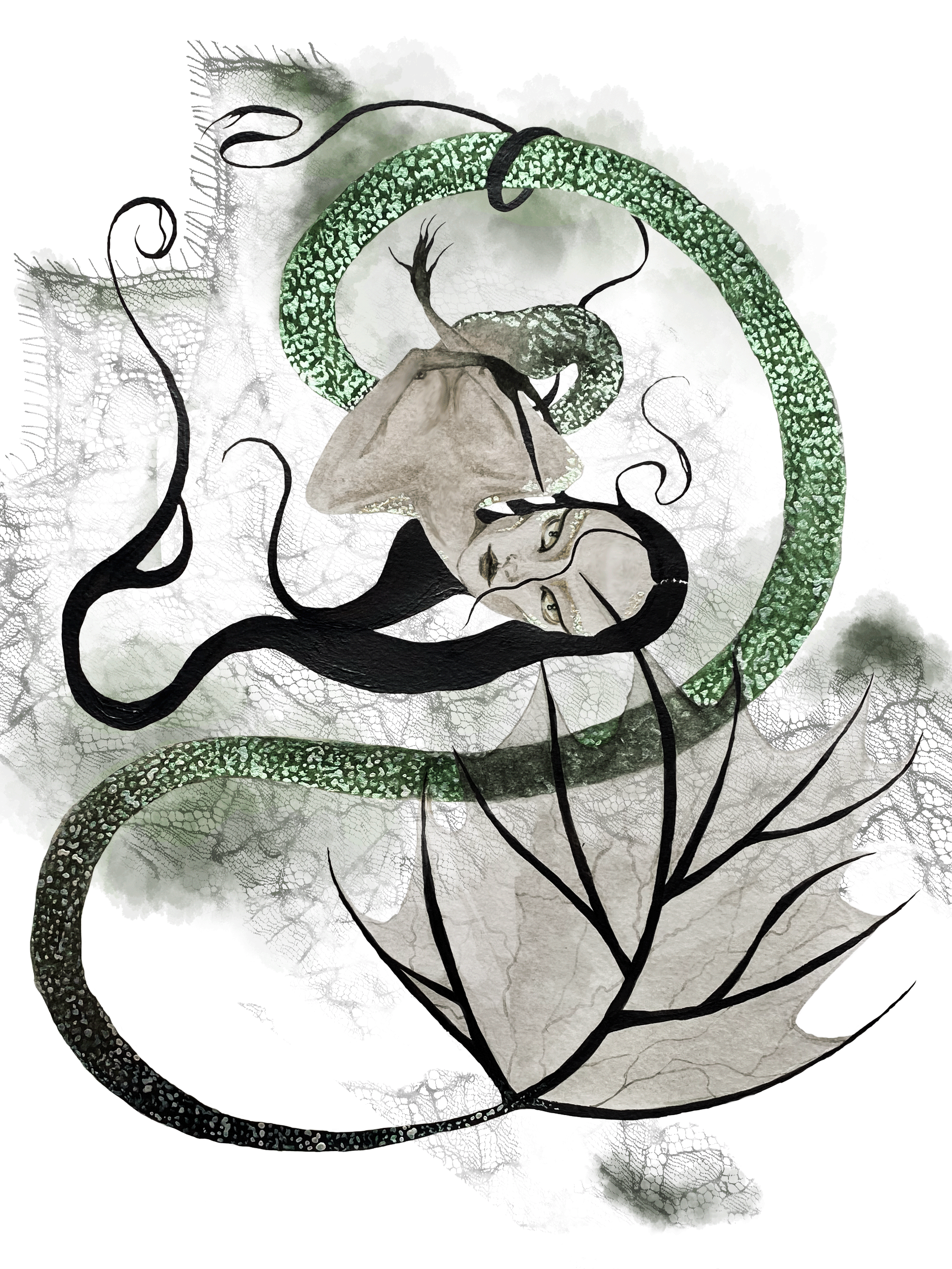 Leech princess moss