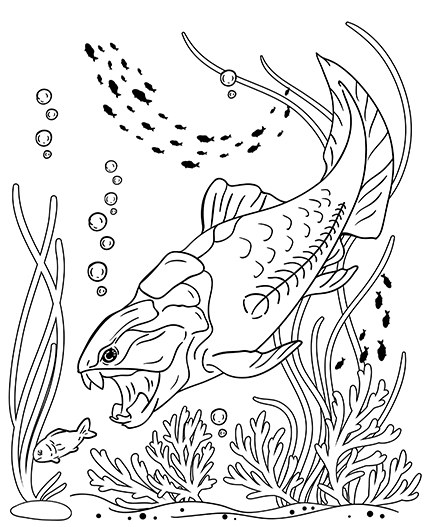 %d0%b4%d1%83%d0%bd%d0%ba%d0%bb%d0%b5%d0%be%d1%81%d1%82%d0%b5%d0%b9