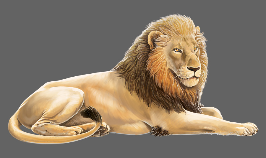 Lion cover embed