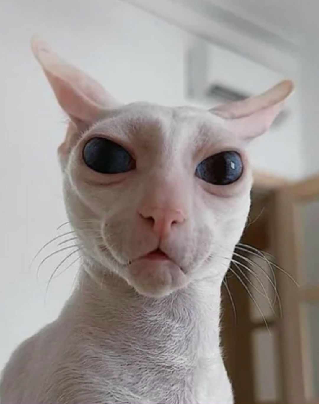 Oyi7pa9h5wzkghdhoajaovyf8mncke imtajsmrpav3zvet4lzob4zule pinq05arnll6z7hpdrtmfehm1rheir