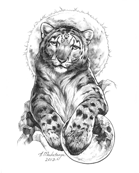 %d0%91%d0%b0%d1%80%d1%81  %d0%bc%d0%b0%d0%bb