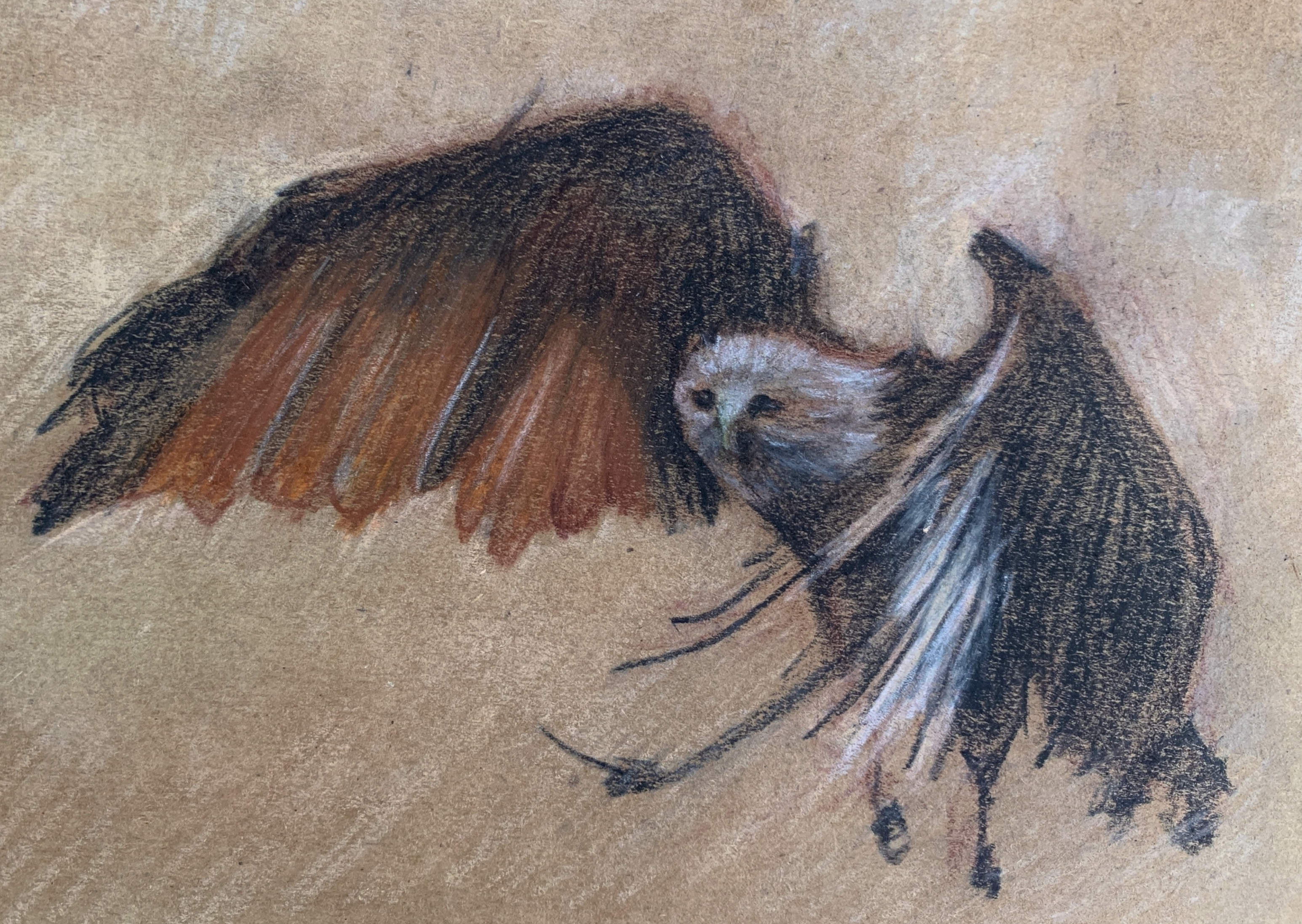 %d0%a1%d0%bd%d0%b8%d0%bc%d0%be%d0%ba %d1%8d%d0%ba%d1%80%d0%b0%d0%bd%d0%b0 2025 10 28 %d0%b2 01.36.58