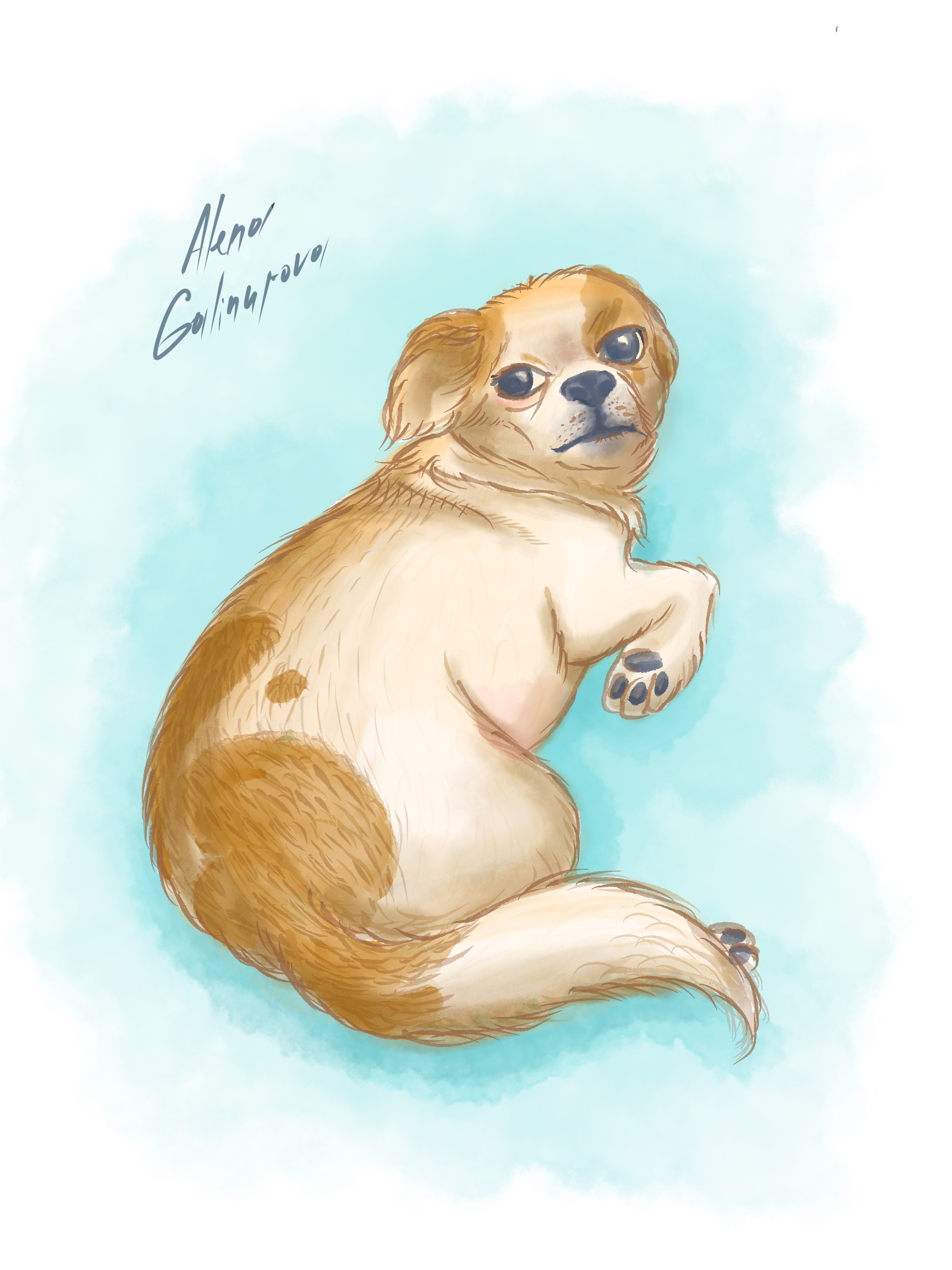 %d0%98%d0%bb%d0%bb%d1%8e%d1%81%d1%82%d1%80%d0%b0%d1%86%d0%b8%d1%8f %d0%b1%d0%b5%d0%b7 %d0%bd%d0%b0%d0%b7%d0%b2%d0%b0%d0%bd%d0%b8%d1%8f 2