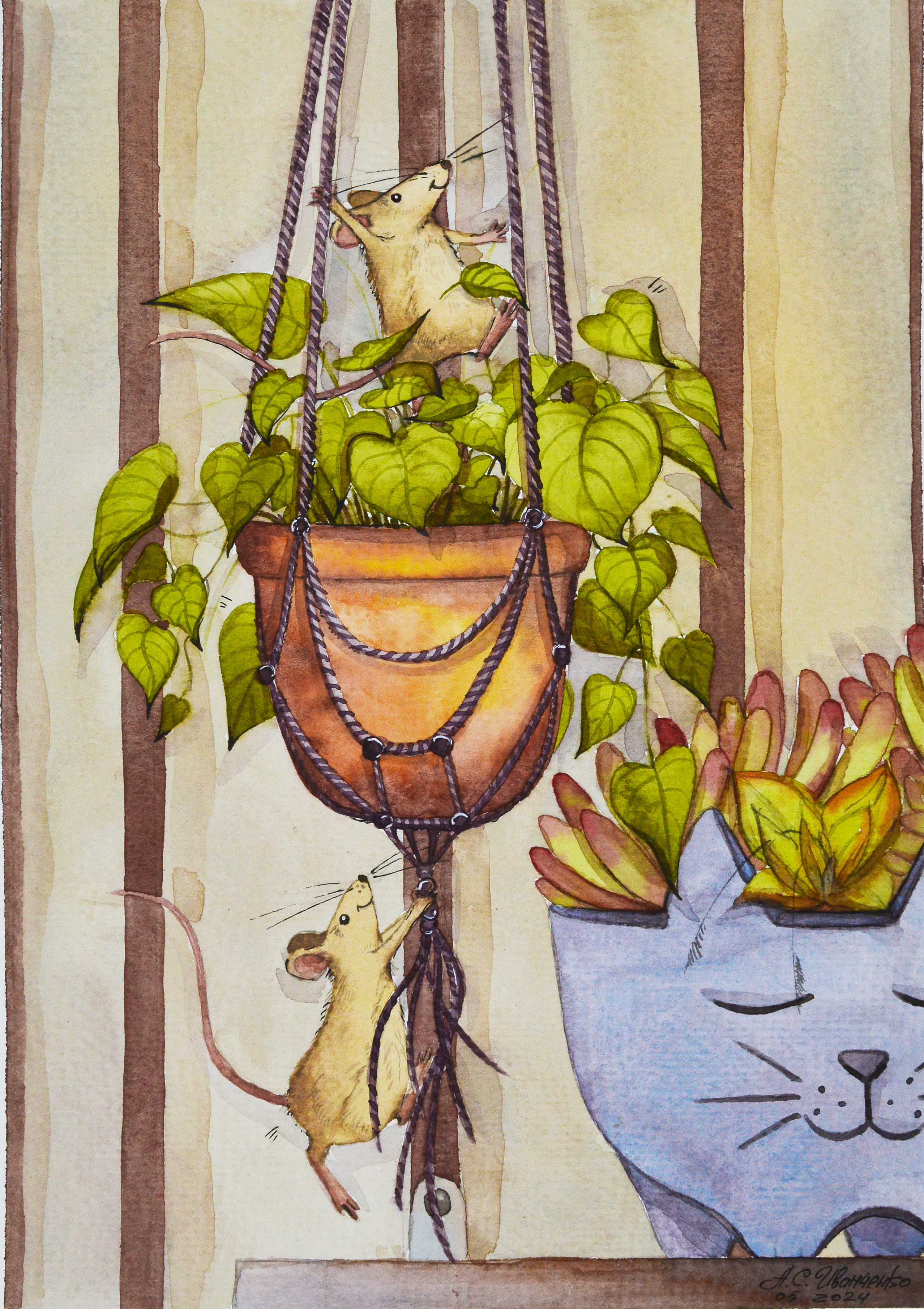 %d0%bc%d1%8b%d1%88%d0%b0%d1%82%d0%b0 %d0%b8 %d1%86%d0%b2%d0%b5%d1%82%d1%8b