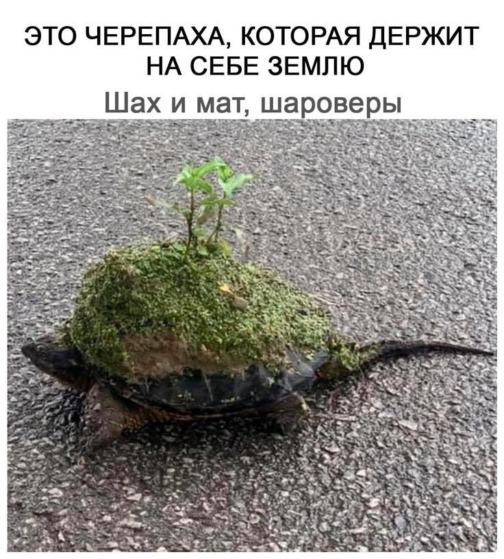 1tef9edm63sfev3sm9dat71 itvmogcgowxstpaqxilurzstjzu1tsoi9nchogikfbhxhr2 somktwfcne7jlpay