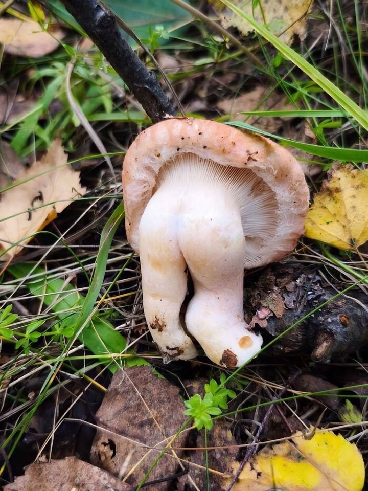 Bx19ksy3sbw mfkezj8n9qrfeazgwgtlchcyhkr 53b4js3onchppkpt9f s dzulifgjimrkibabofut2v1prrs