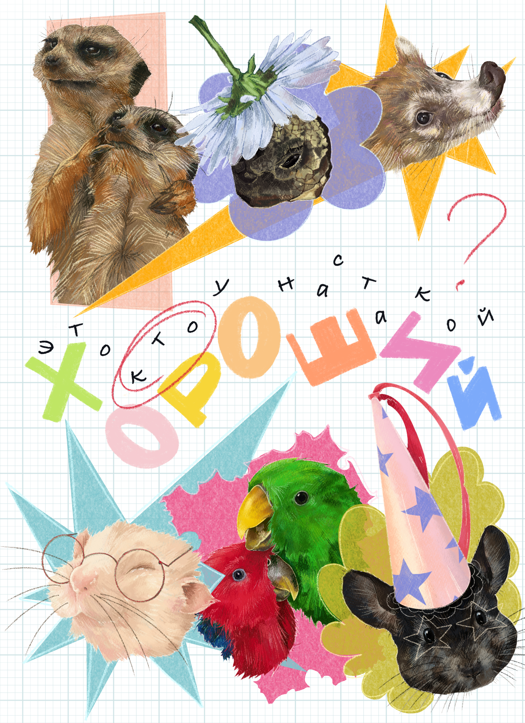 Img 20251017 084815 411