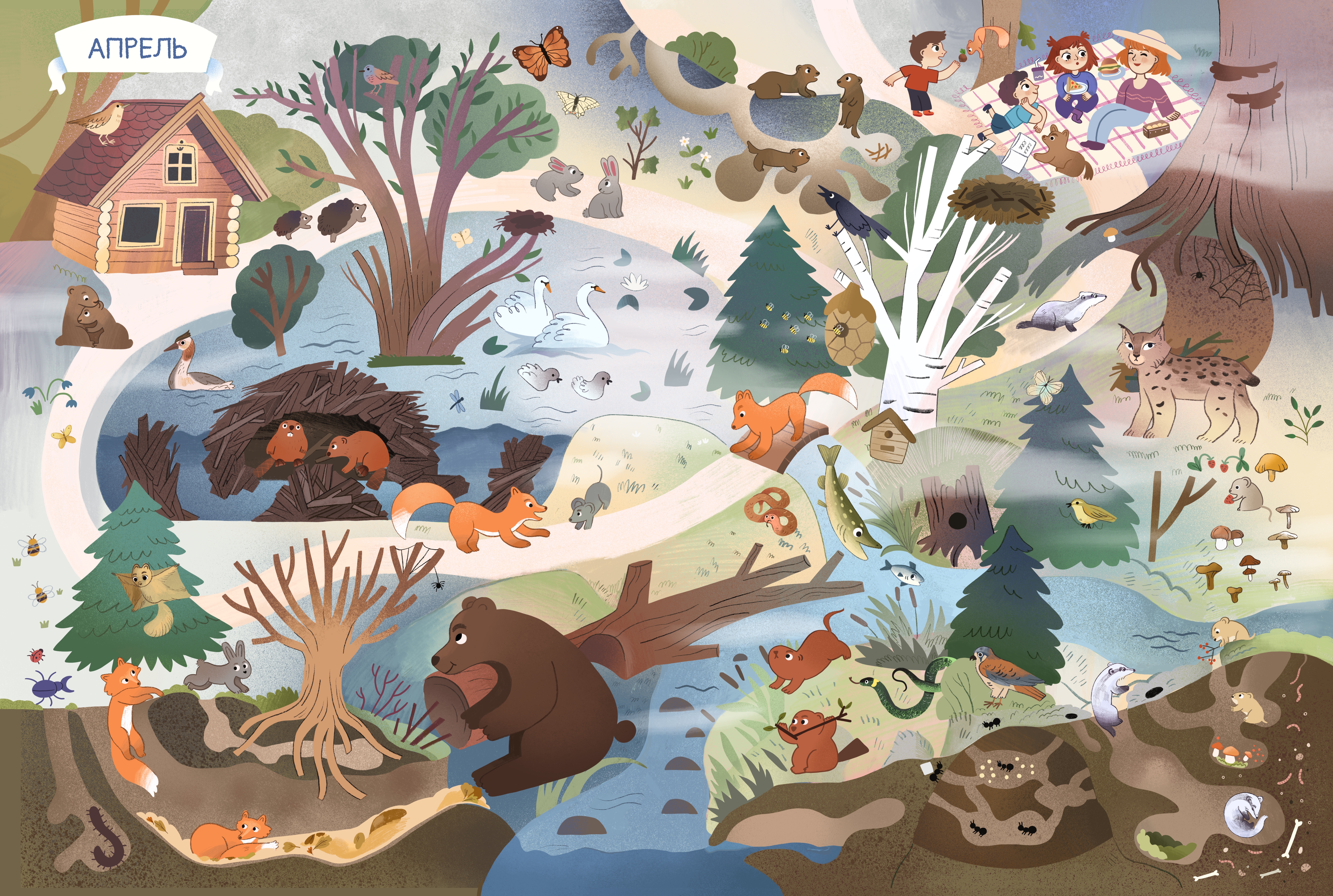 Katherine dot    forest april