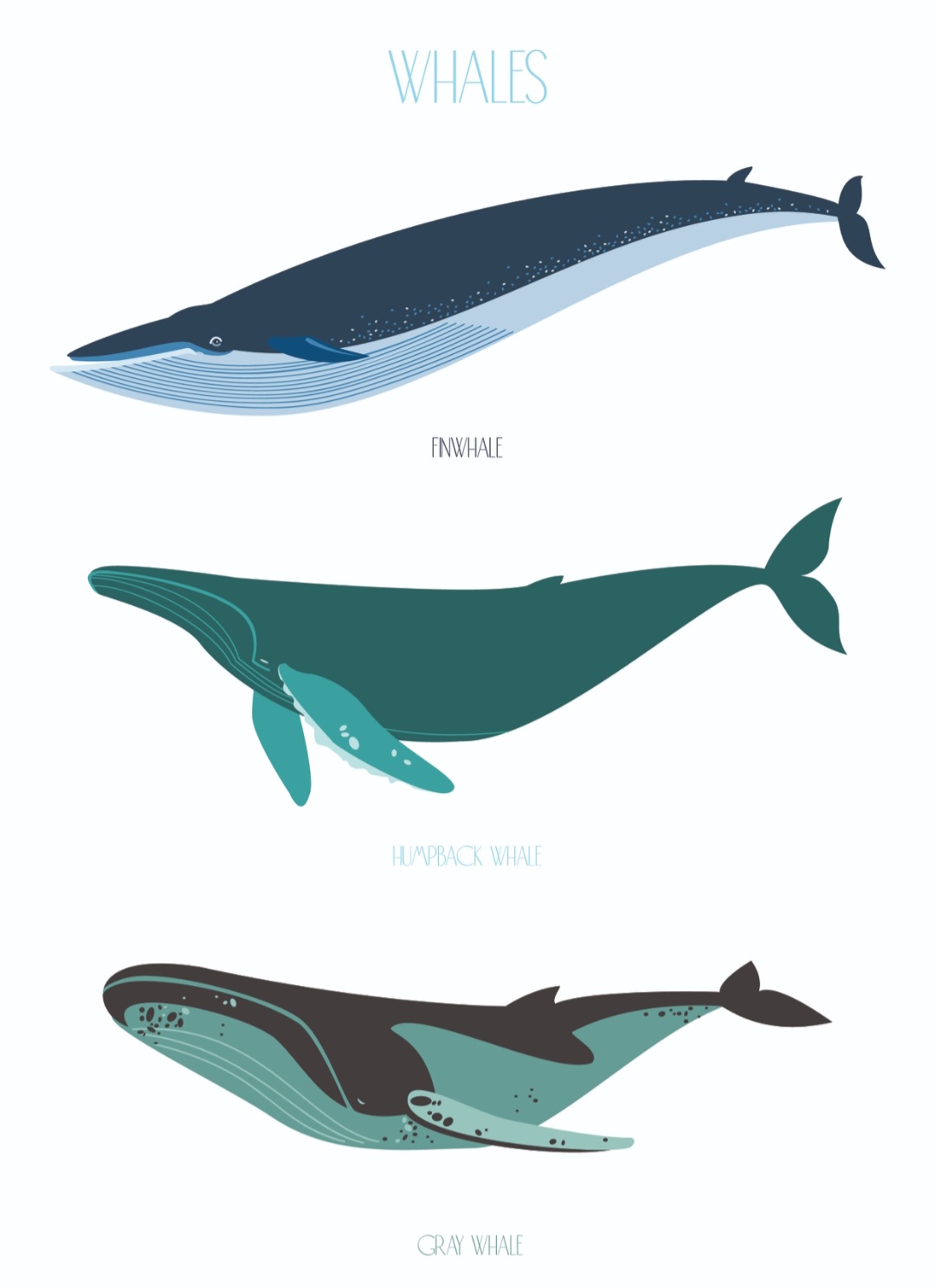 Screenshot 20251205 170113 gallery