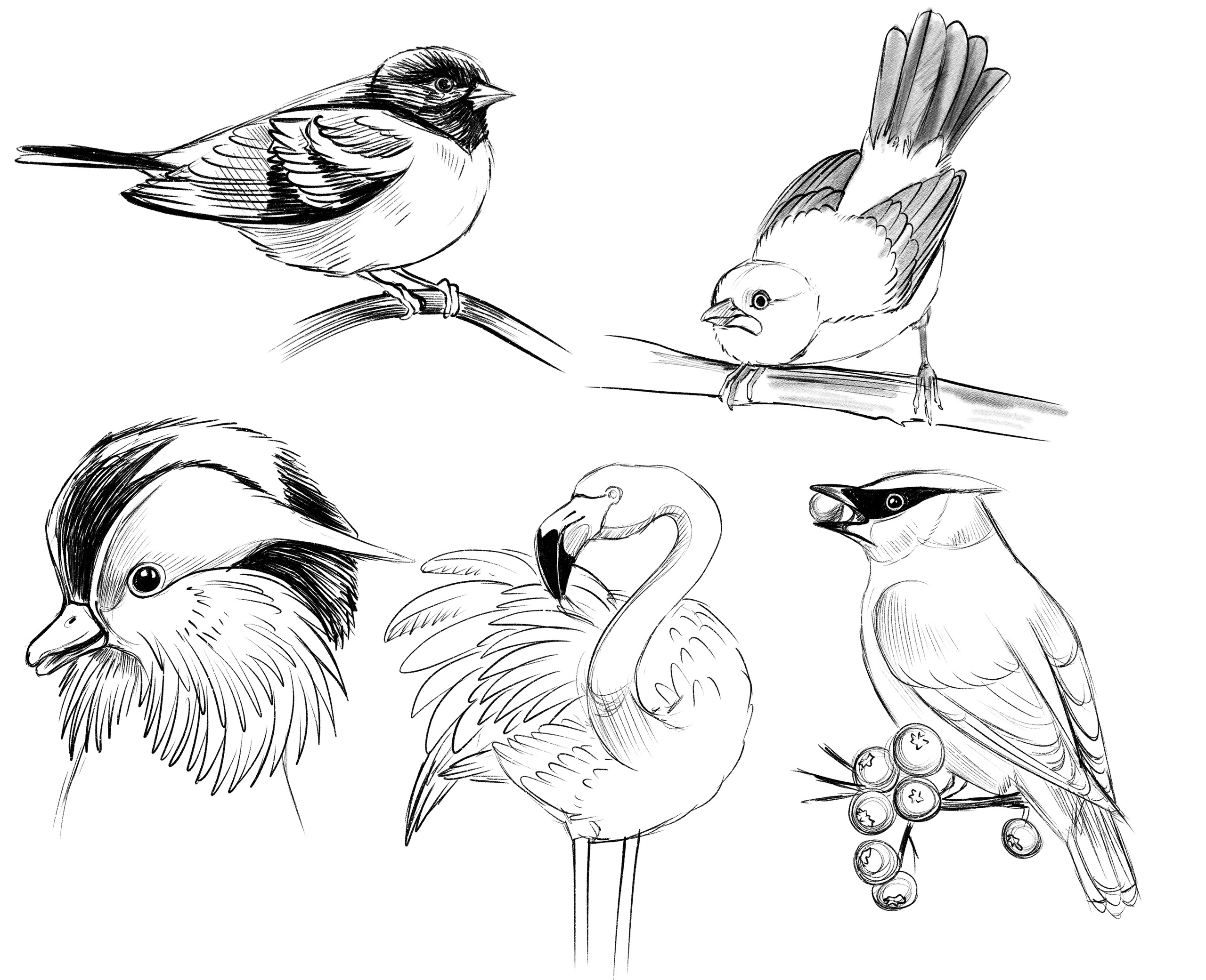 Fpmx grtyboefiolzumohp ydyrob axreqyacrwexoyrtpagyljdgrkswoj7bwocdoko6ltyd5dv gwcd lbmnh