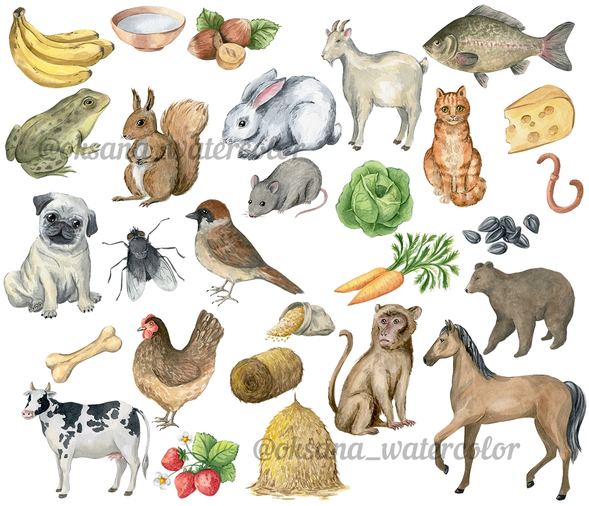 81904996889b8783ad8fe07616c945b54e8b36f3 1687527954