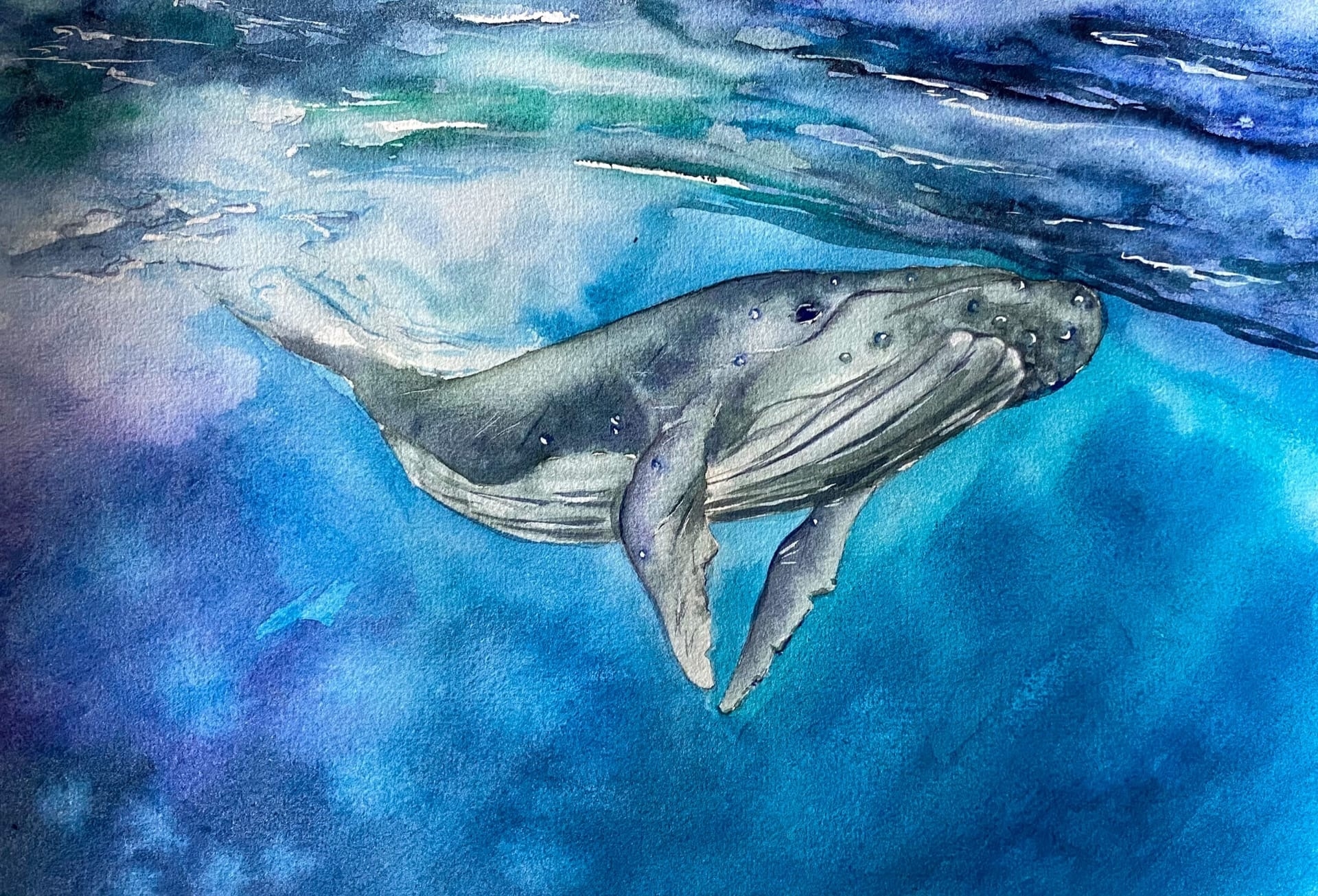  8yxouh8r9shknmgynit0ha4pgkytnrak4ugqcko0kduinpjbgzild9iuj2m51qbgbsbnsupdwopdz0igkzbt0u3