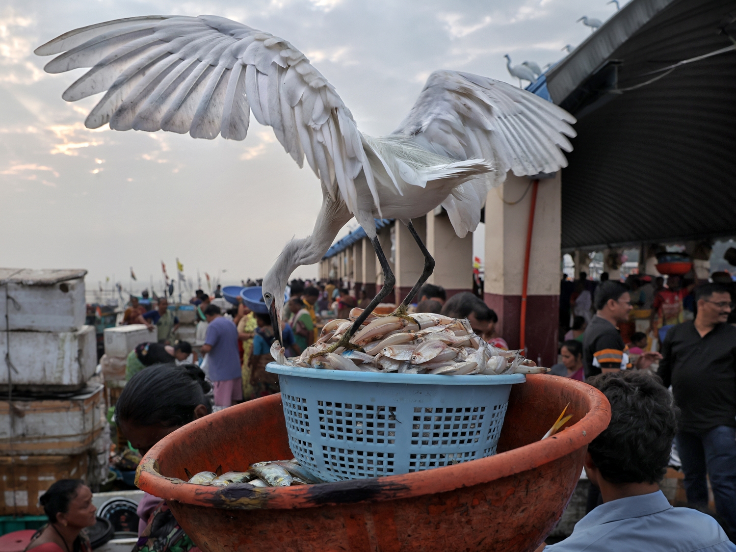 Eqg8he0yfamjplck1imrx09tr8ulkglnqktevjh47kmwnblze4vmsbroyzxmduighjkhvxkodstbeuk44zdies6h