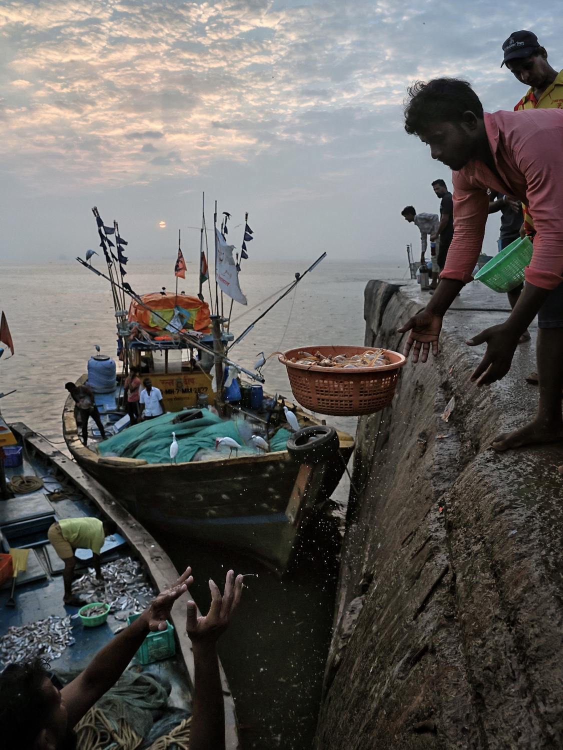 Do3w1 n5006bpn8cezfe5ehk9bnszqaagqi4nx8ydv0t kx eq61kowra9re6m2hlfina5xpkuarugmdqvjchsgj