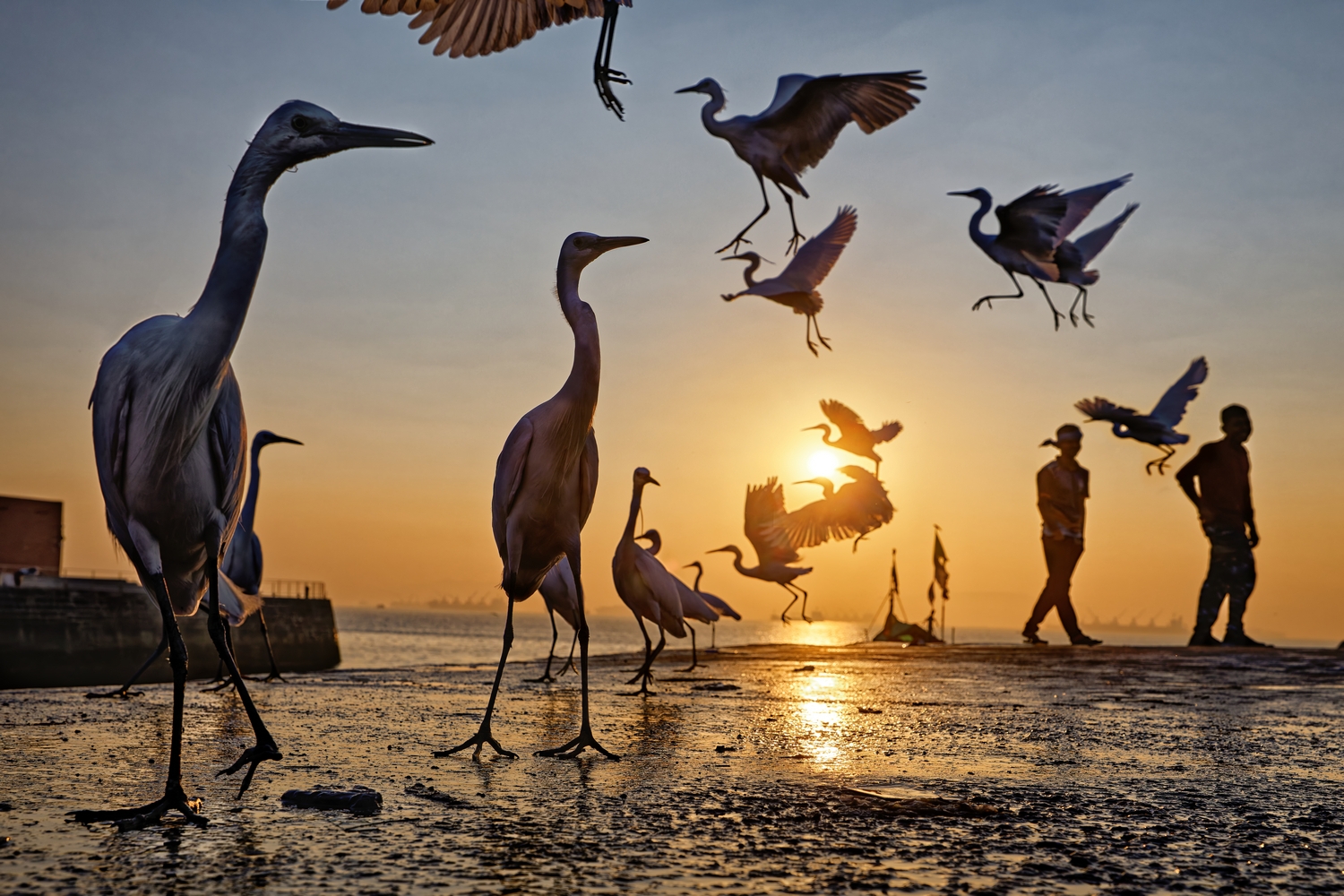 Vgq zskkjokn norfdvzuauxqtgzrqui0mtuxe 1rud8o5lehhvmdjeglfhdgunvguspuge2rvihl r5fteo3 ru