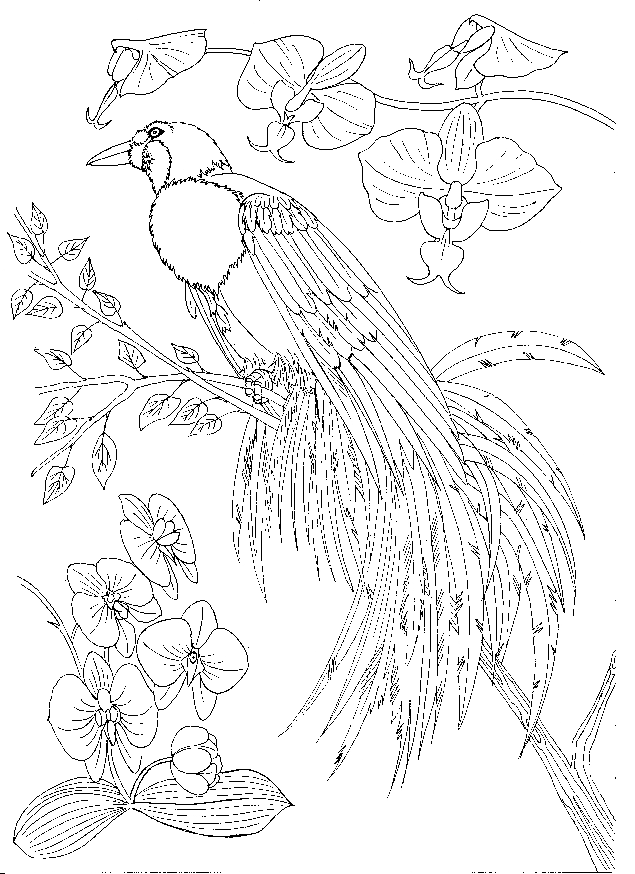 %d1%81%d0%ba%d0%b0%d0%bd%d0%b8%d1%80%d0%be%d0%b2%d0%b0%d0%bd%d0%b8%d0%b50009