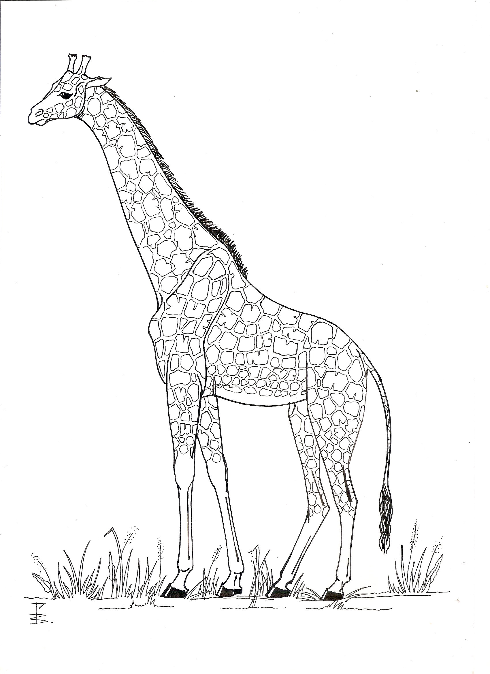 %d1%80%d0%b5%d0%b4%d0%b0%d0%ba%d1%86%d0%b8%d1%8f %d0%a1%d0%9e%d0%92%d0%90  59 