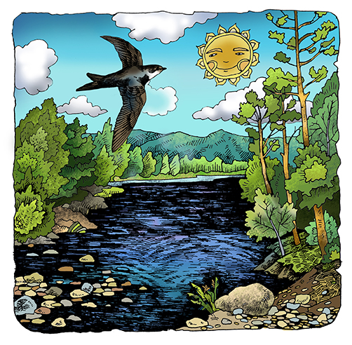 %d0%be%d0%b1%d0%bb%d0%be%d0%b6%d0%ba%d0%b0