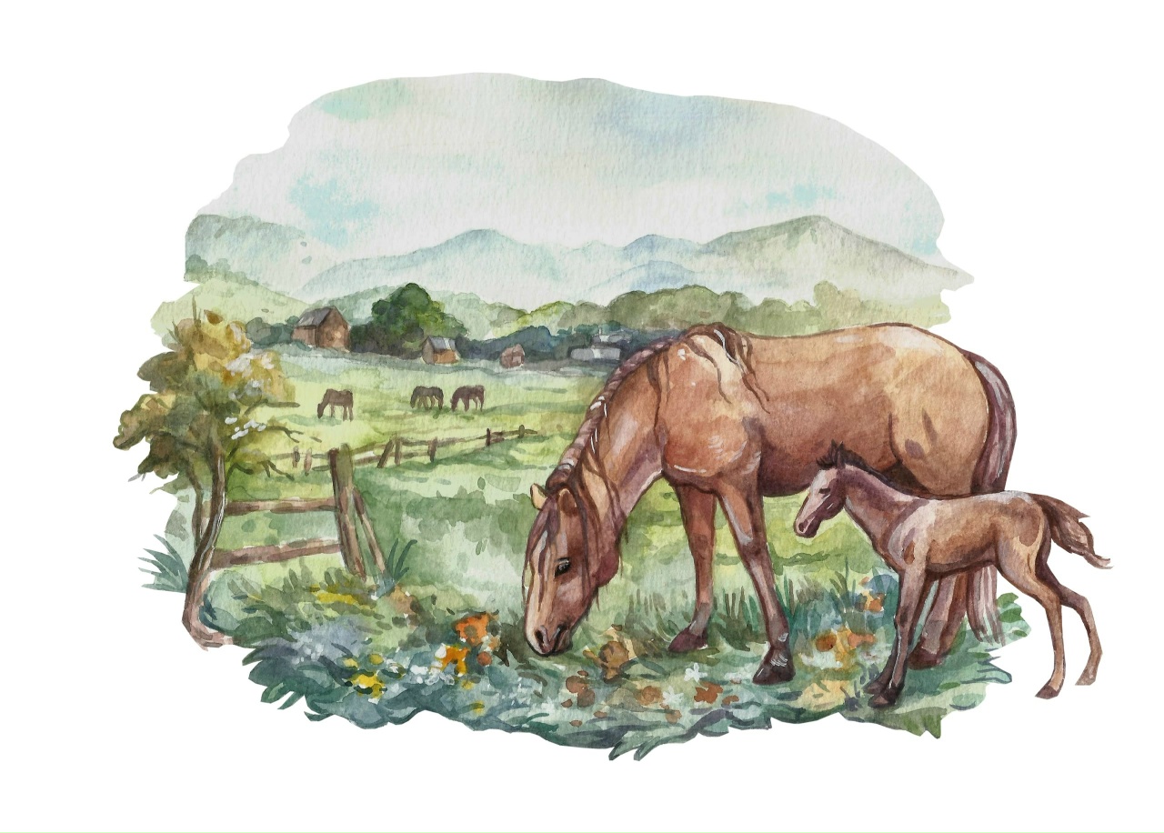 Osy phrahdwthzinkahjwct4did2ntxvf1fix7qahriodsmgvxmmapke11pixt u rar84nxzthozmqqjvkncxbn