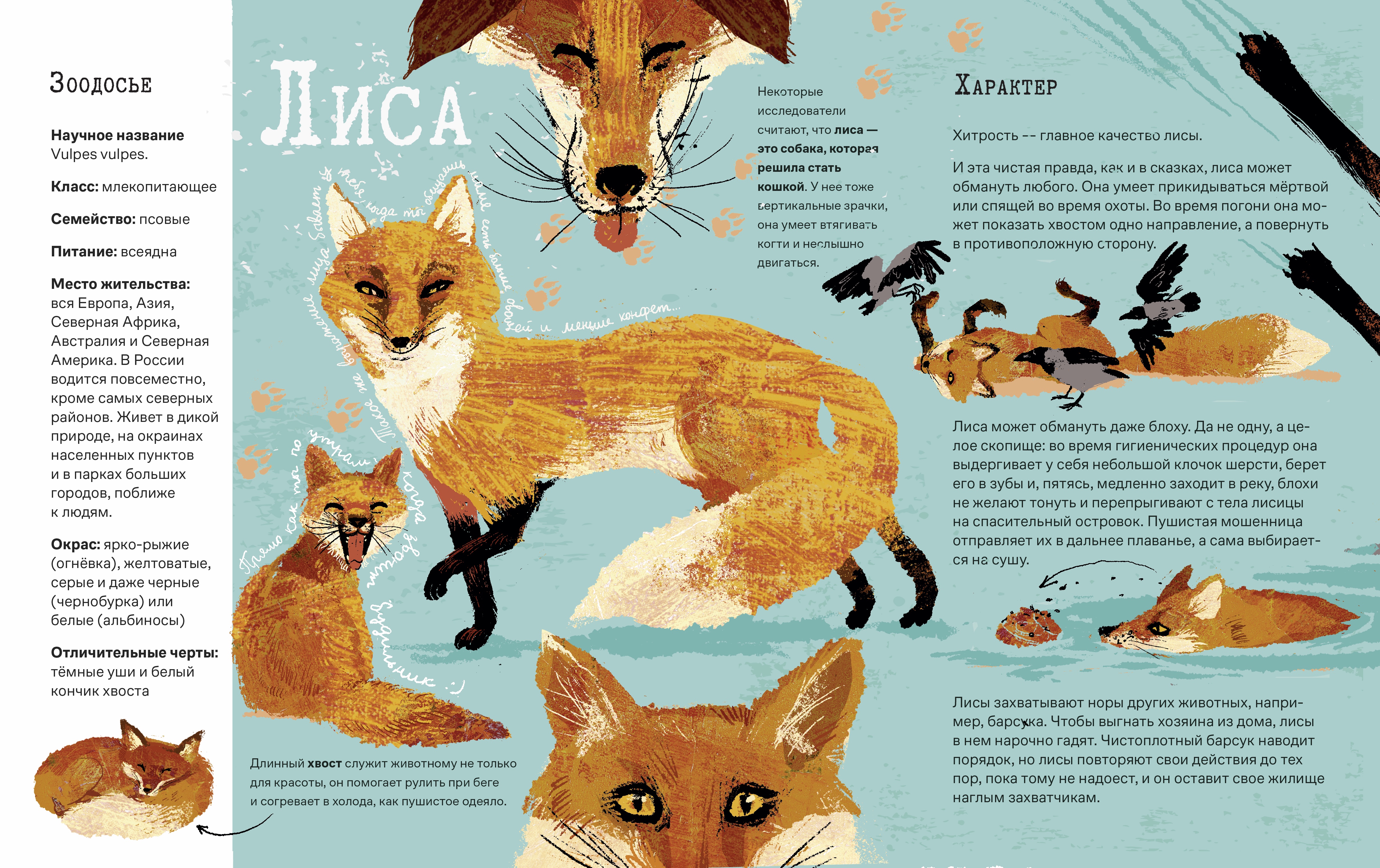 %d0%98%d0%bb%d0%bb%d1%8e%d1%81%d1%82%d1%80%d0%b0%d1%86%d0%b8%d1%8f %d0%b1%d0%b5%d0%b7 %d0%bd%d0%b0%d0%b7%d0%b2%d0%b0%d0%bd%d0%b8%d1%8f 4