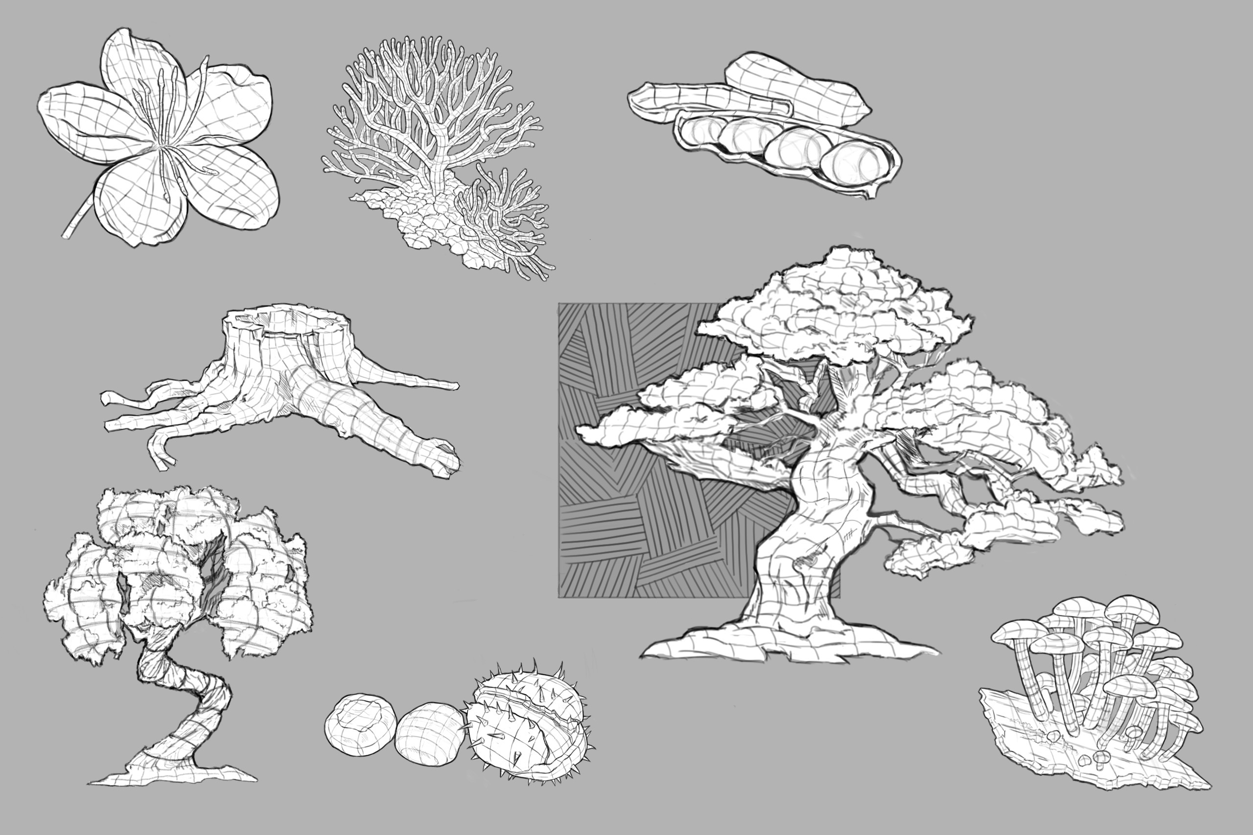 %d0%9f%d0%bb%d0%b0%d1%81%d1%82%d0%b8%d0%ba%d0%b0 %d1%80%d0%b0%d1%81%d1%82%d0%b5%d0%bd%d0%b8%d0%b9 1