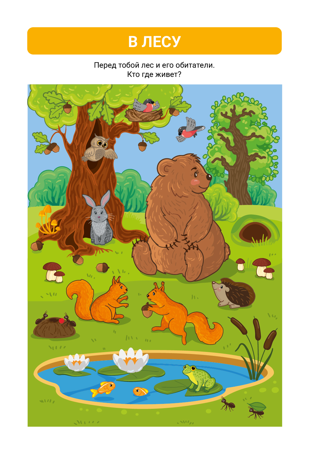 %d1%81%d1%82%d1%80 8 %d0%b2 %d0%bb%d0%b5%d1%81%d1%83 %d0%9c%d0%be%d0%bd%d1%82%d0%b0%d0%b6%d0%bd%d0%b0%d1%8f %d0%be%d0%b1%d0%bb%d0%b0%d1%81%d1%82%d1%8c 1