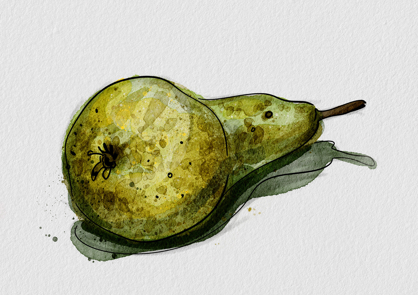 %d0%93%d1%80%d1%83%d1%88%d0%b0