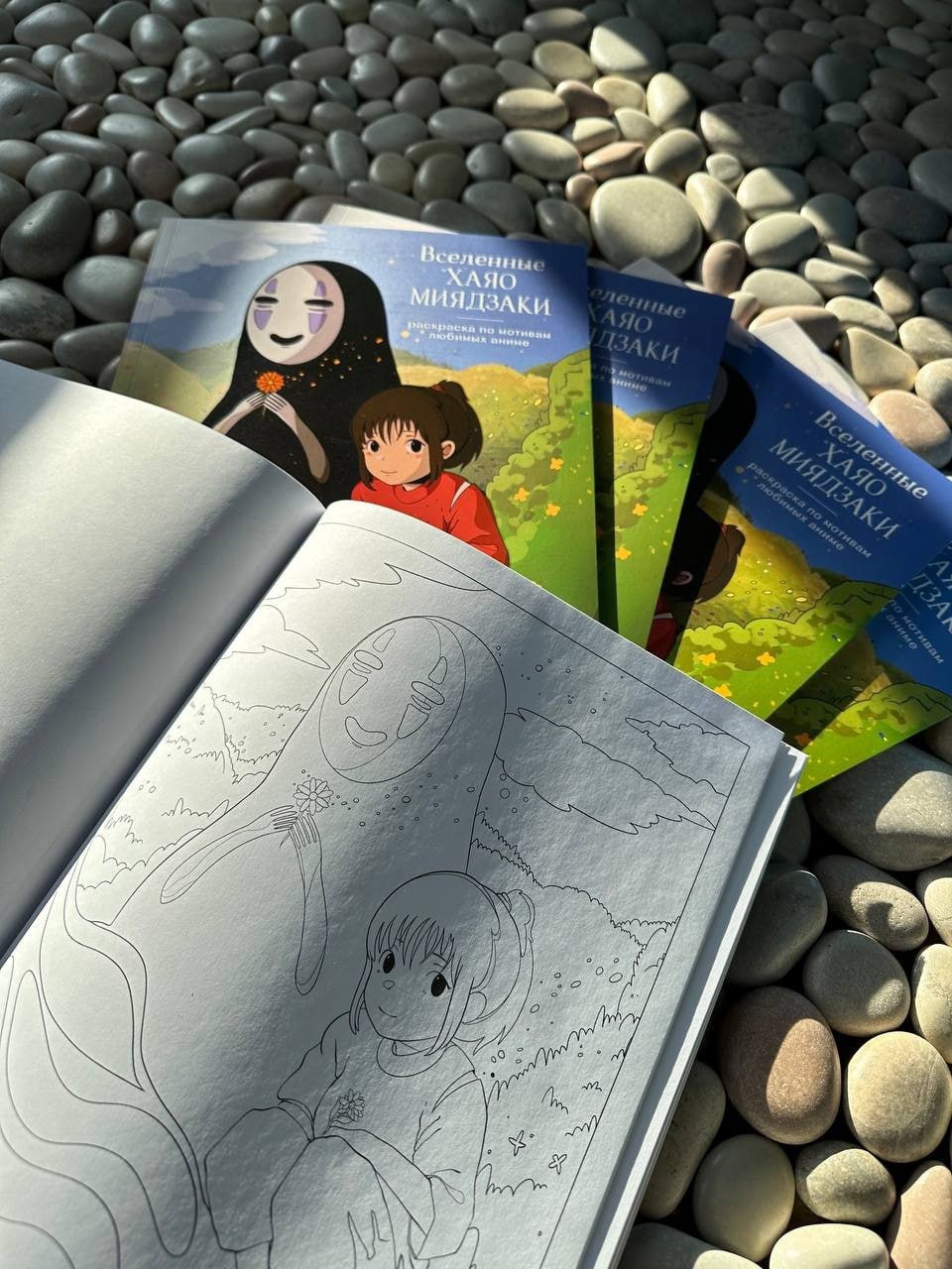 Photo 2024 03 31 13 09 00