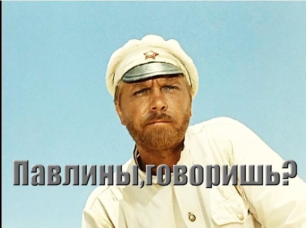 Screenshot 20260216 113516 yandex start