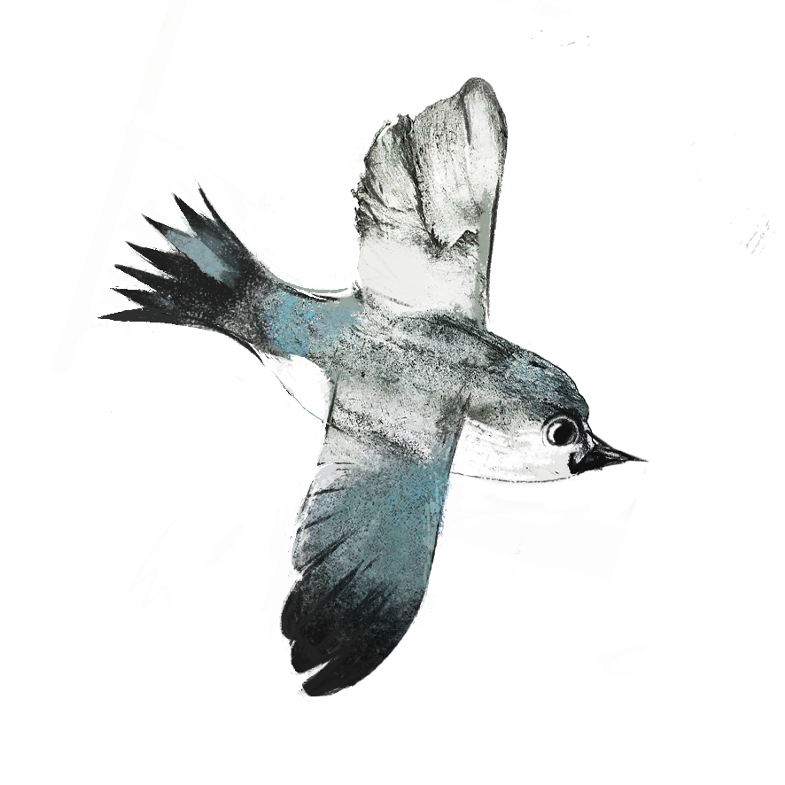 %d0%9f%d1%82%d0%b8%d1%87%d0%ba%d0%b0 %d0%bd%d0%b5%d0%b2%d0%b5%d0%bb%d0%b8%d1%87%d0%ba%d0%b0