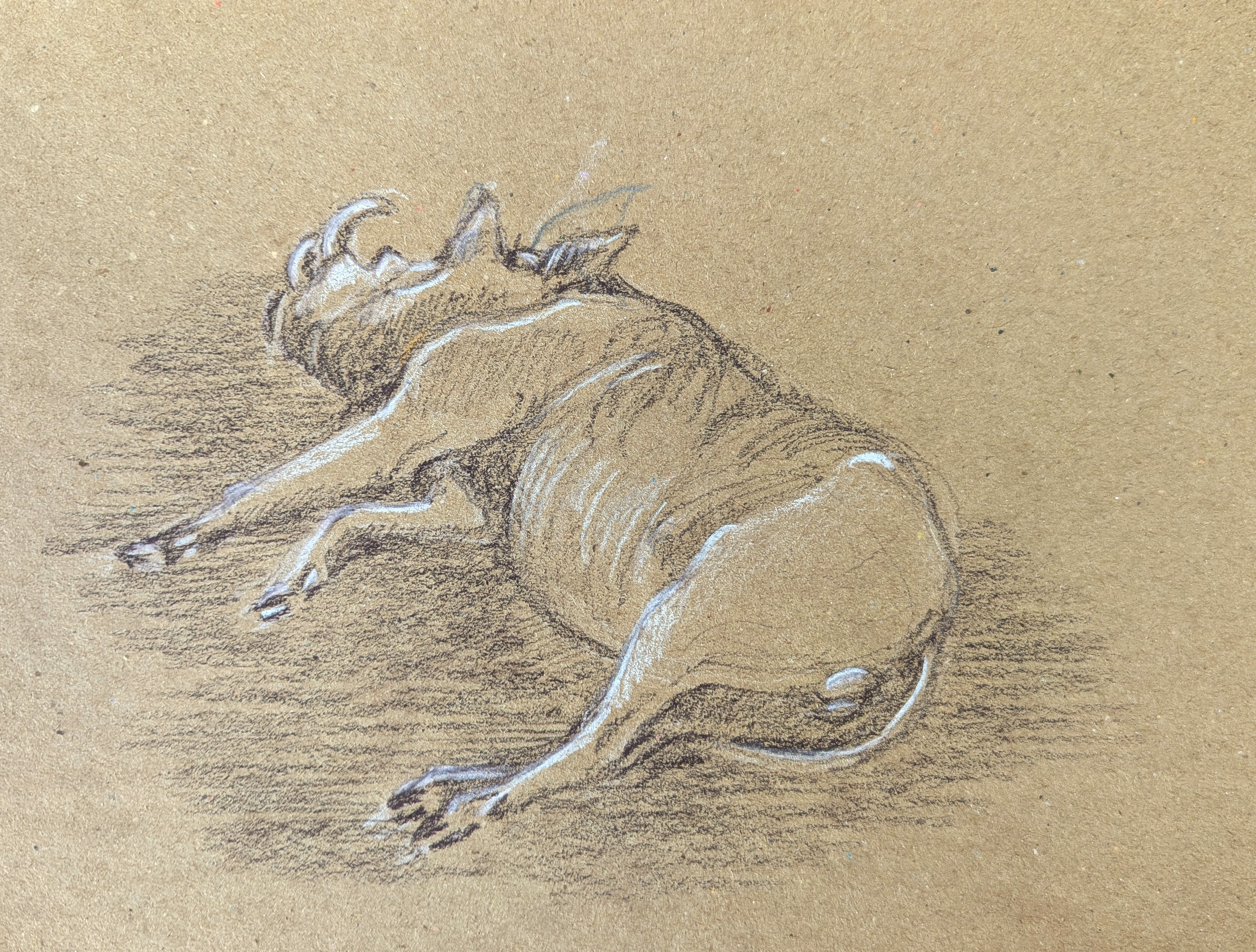 Pxl 20260219 142330134.mp