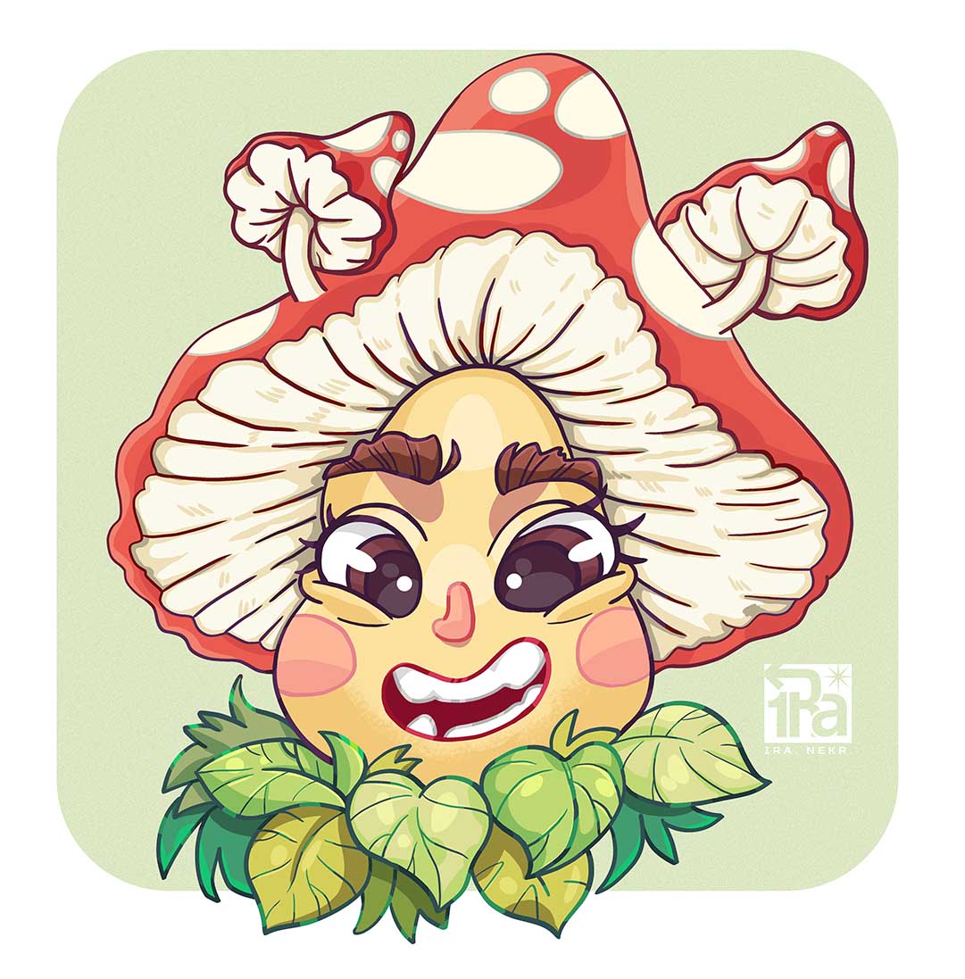 %d0%b3%d1%80%d0%b8%d0%b1 %d0%bd%d0%b8%d0%b7%d0%ba %d0%ba%d0%b0%d1%87%d0%b2%d0%be