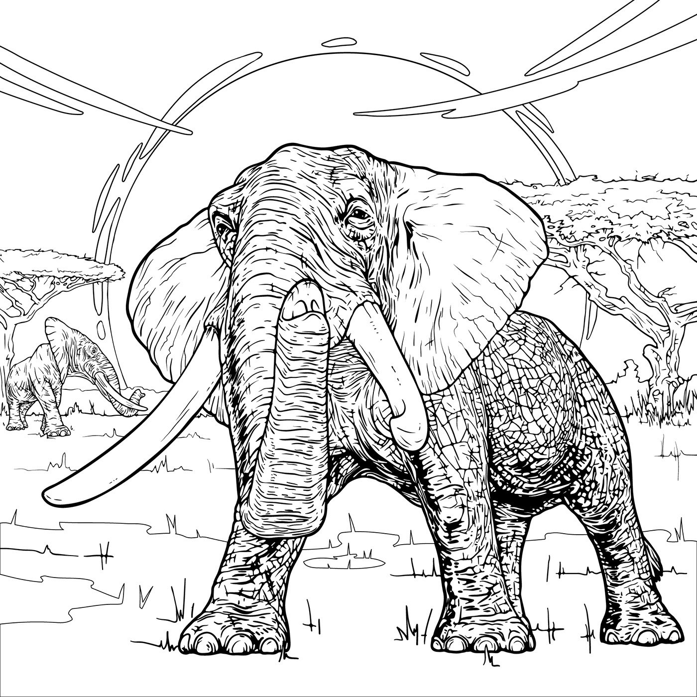 64d25d174090231.649bbb4f8447f