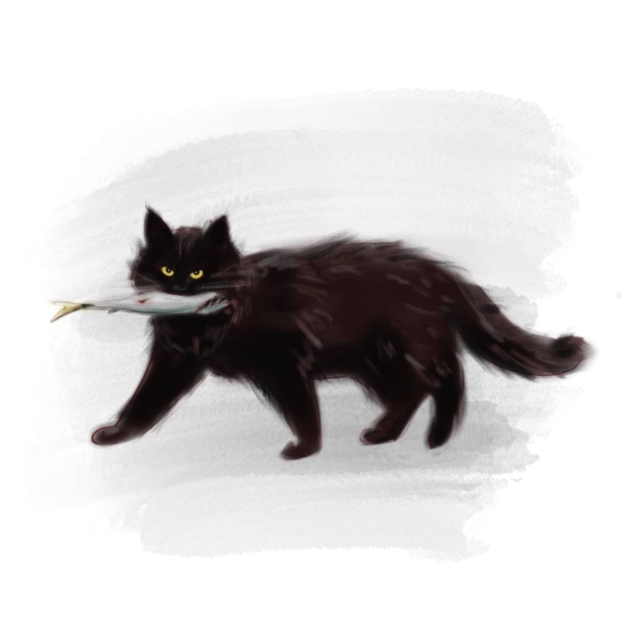 Photo 4 2025 05 27 22 49 53