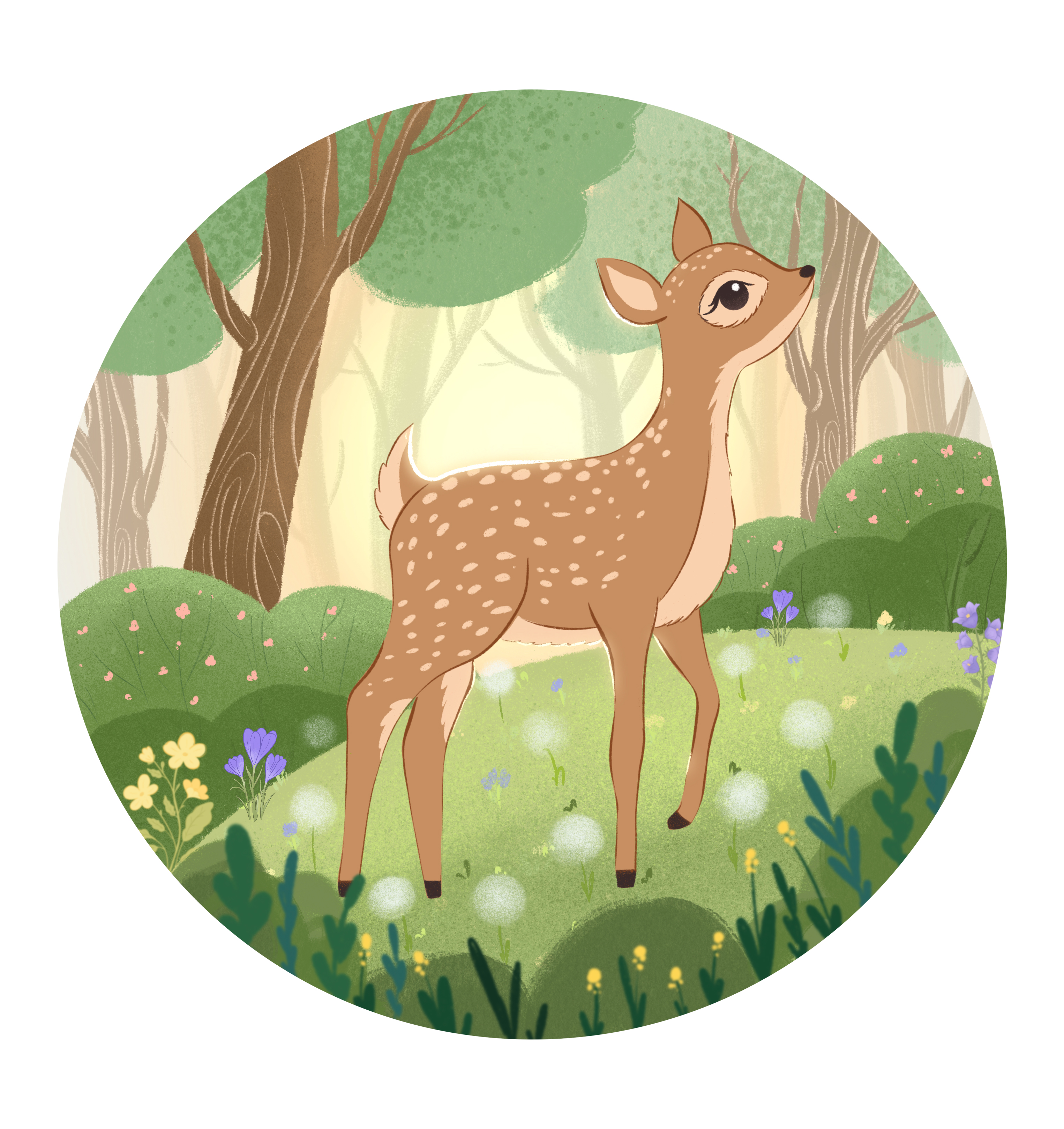 %d0%91%d0%b5%d0%b7 %d0%b8%d0%bc%d0%b5%d0%bd%d0%b8 6